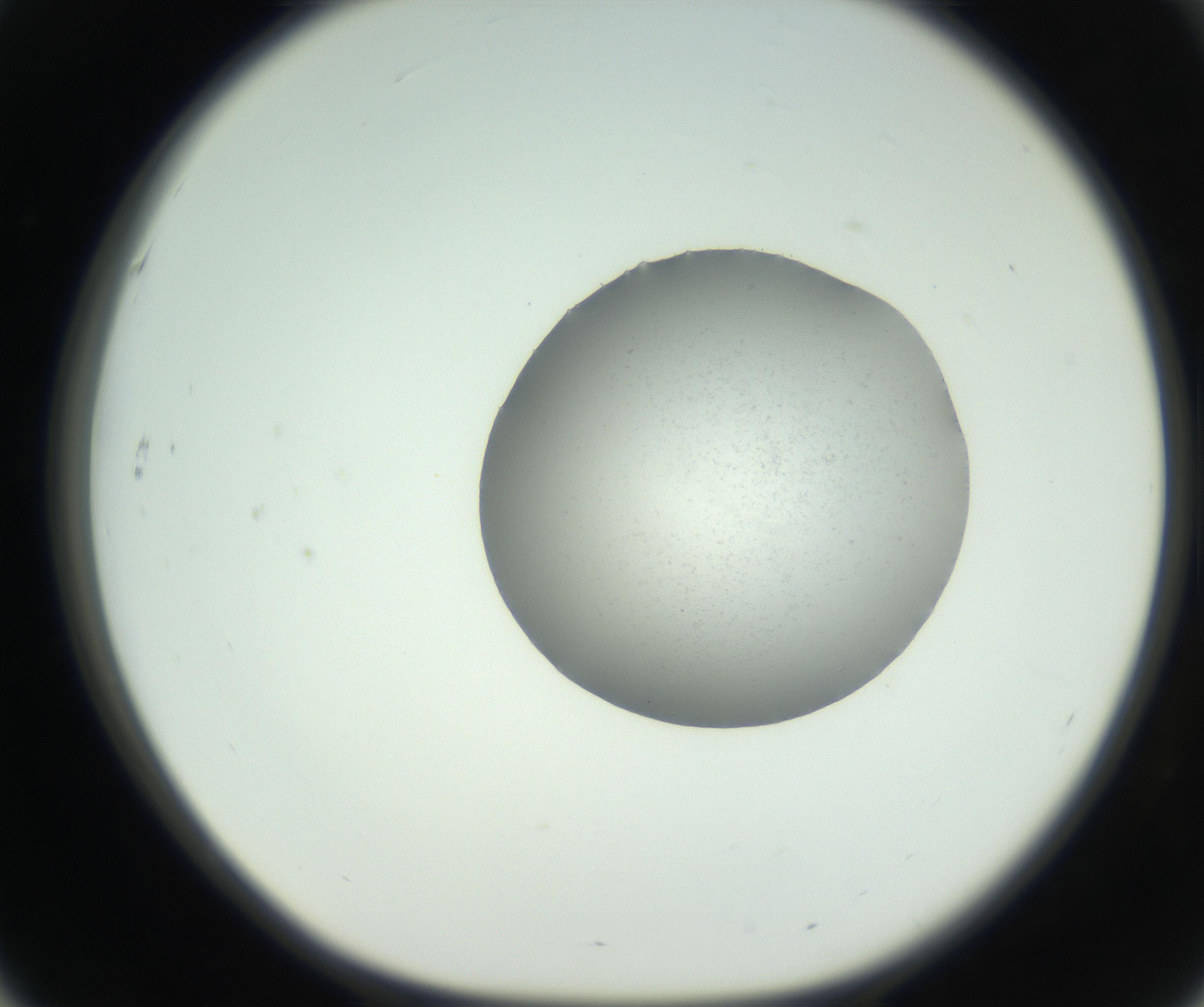 RI01_03_000_0212_Proj1_Clon1_MC_0000MC102729_002_160916_03_05_01_00_99_002_001_RAI.jpg