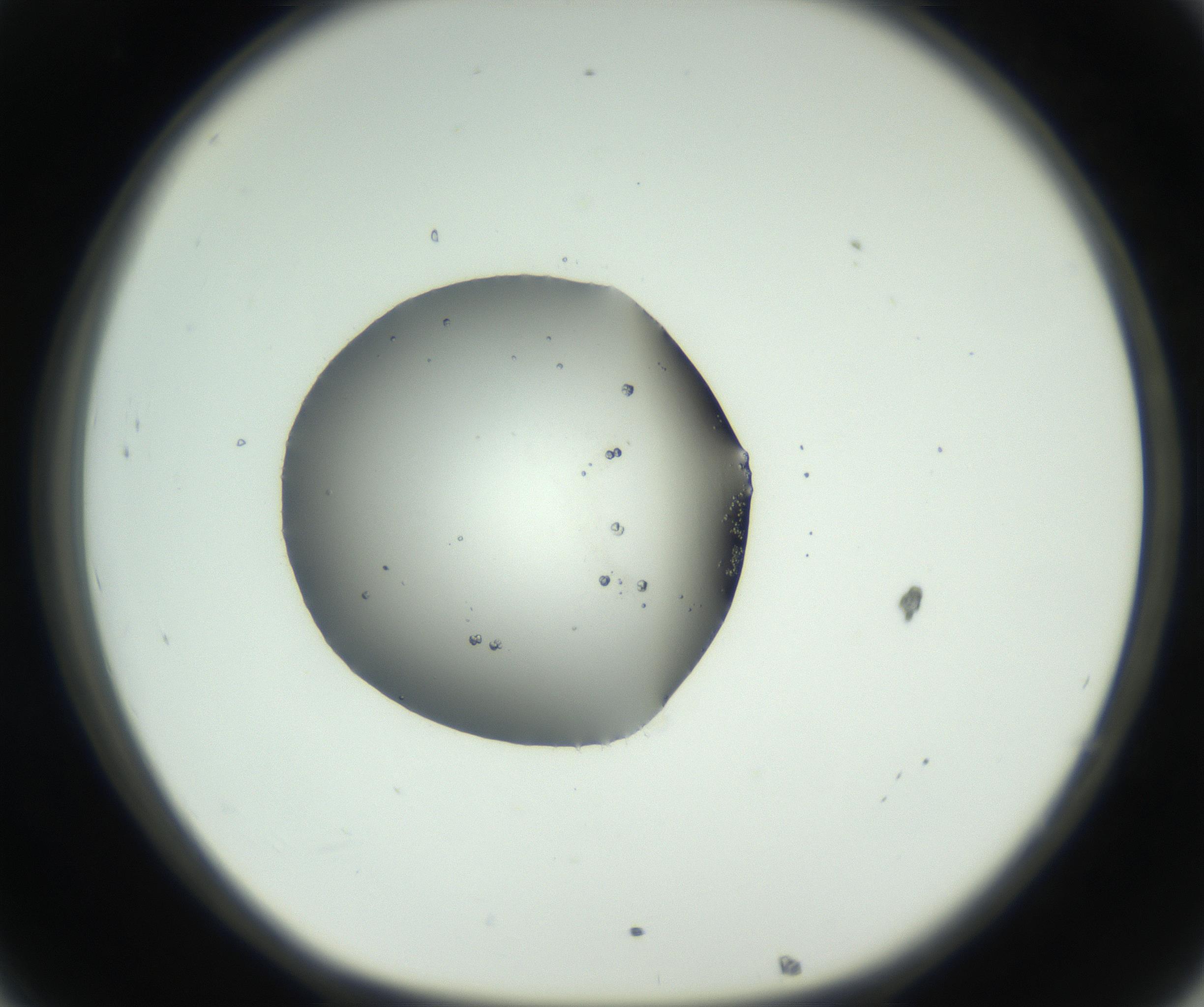 RI01_03_000_0212_Proj1_Clon1_MC_0000MC102729_002_160916_08_03_01_00_99_002_001_RAI.jpg