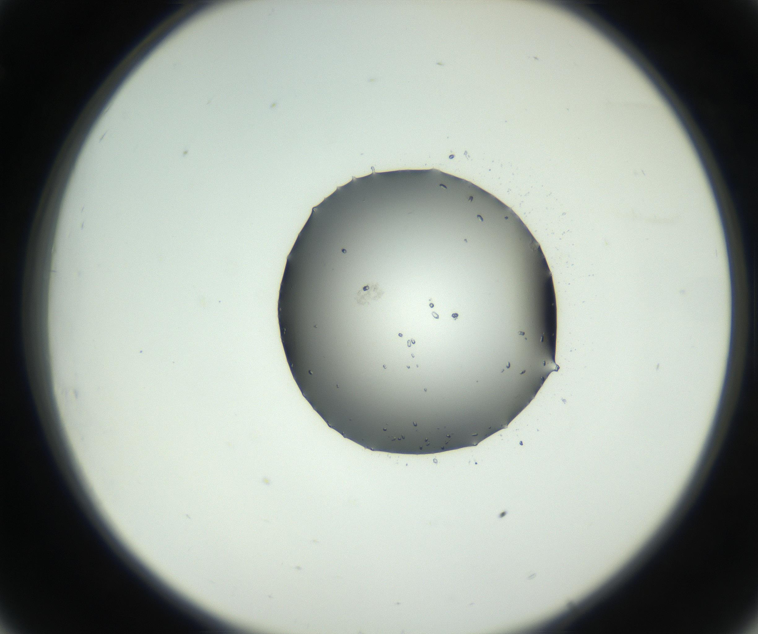RI01_03_000_0212_Proj1_Clon1_MC_0000MC102729_002_160916_08_03_02_00_99_002_001_RAI.jpg