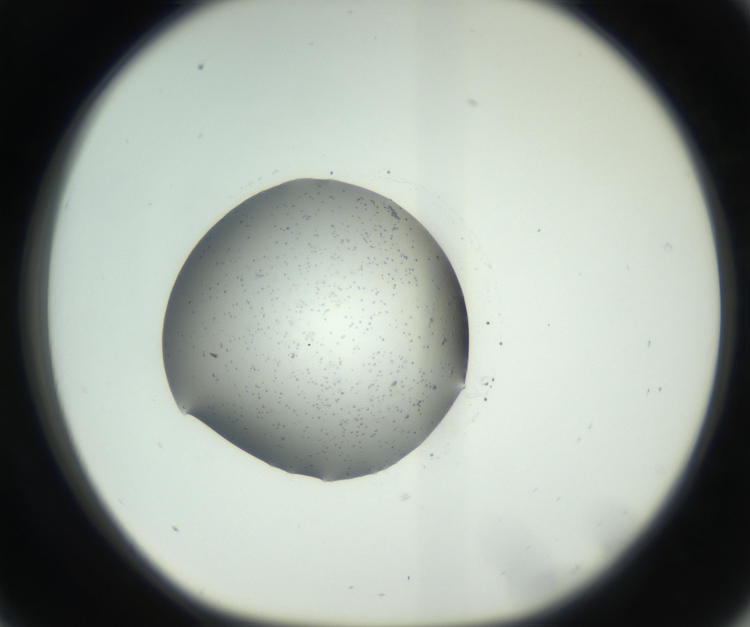 RI01_03_000_0212_Proj1_Clon1_MC_0000MC102729_002_160916_09_03_01_00_99_002_001_RAI.jpg