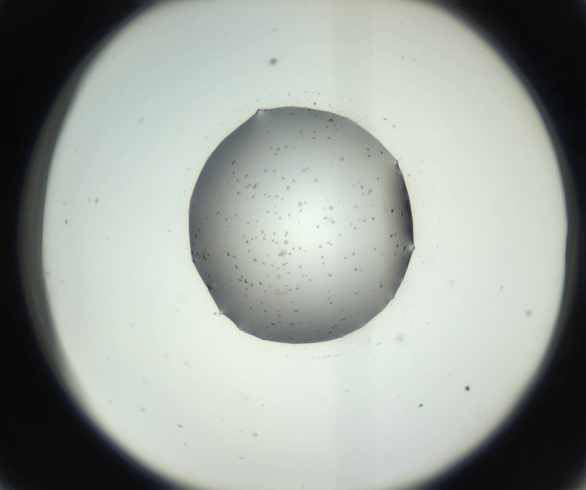 RI01_03_000_0212_Proj1_Clon1_MC_0000MC102729_002_160916_09_03_02_00_99_002_001_RAI.jpg