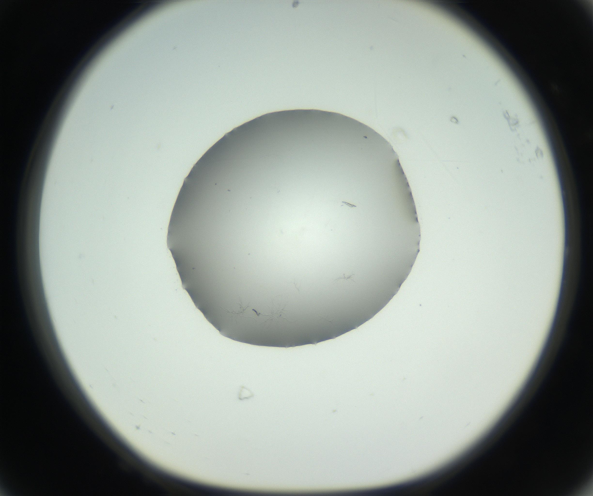 RI01_03_000_0212_Proj1_Clon1_MC_0000MC102729_005_160922_08_06_01_00_99_002_001_RAI.jpg