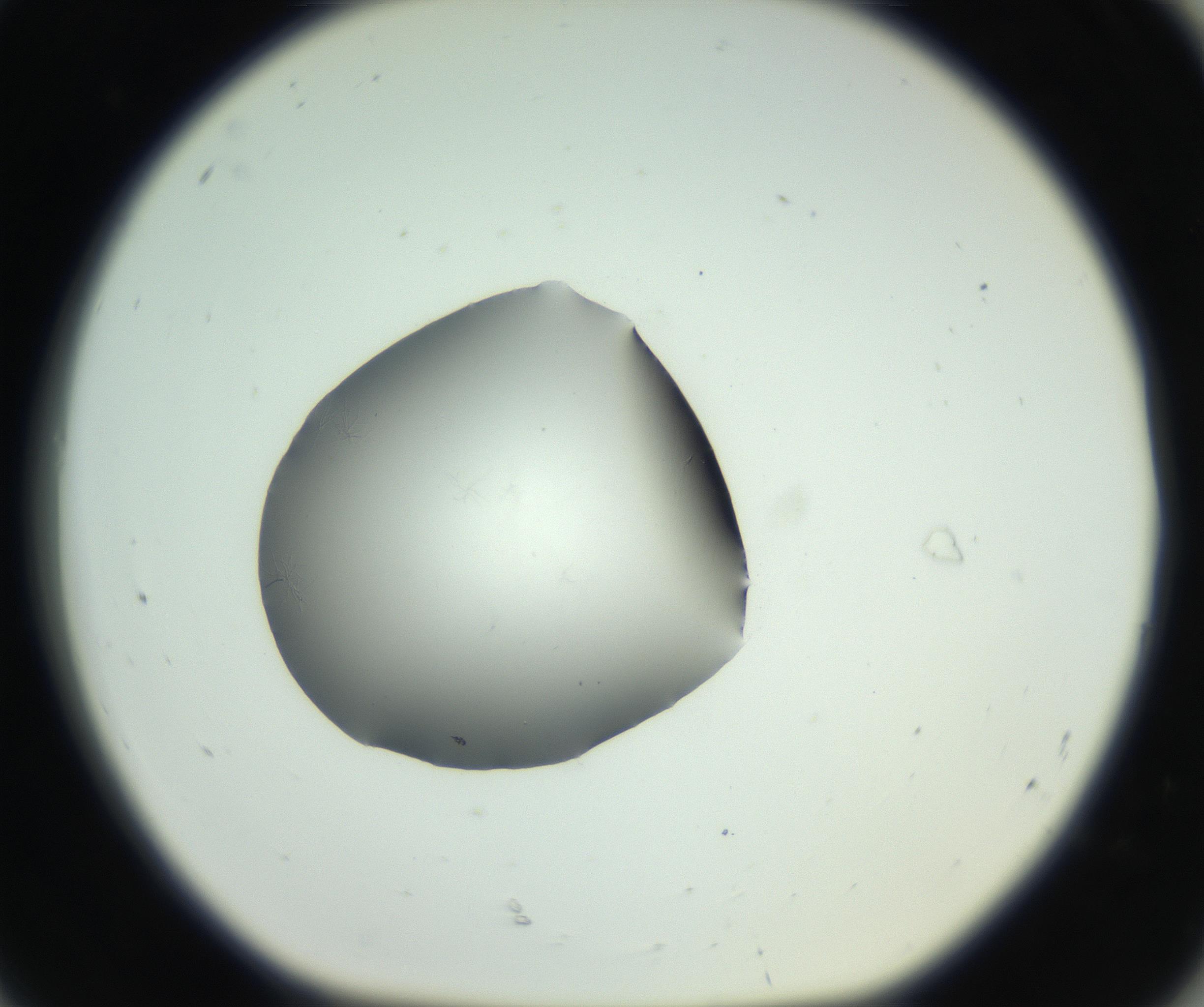 RI01_03_000_0212_Proj1_Clon1_MC_0000MC102729_005_160922_08_08_01_00_99_002_001_RAI.jpg