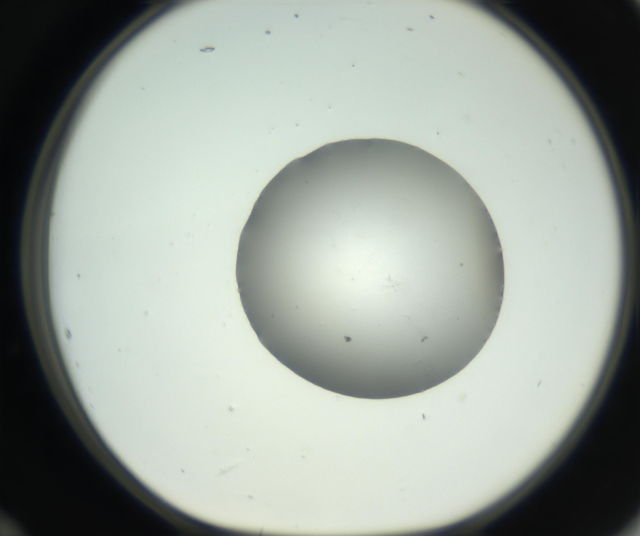 RI01_03_000_0212_Proj1_Clon1_MC_0000MC102729_005_160922_12_05_01_00_99_002_001_RAI.jpg
