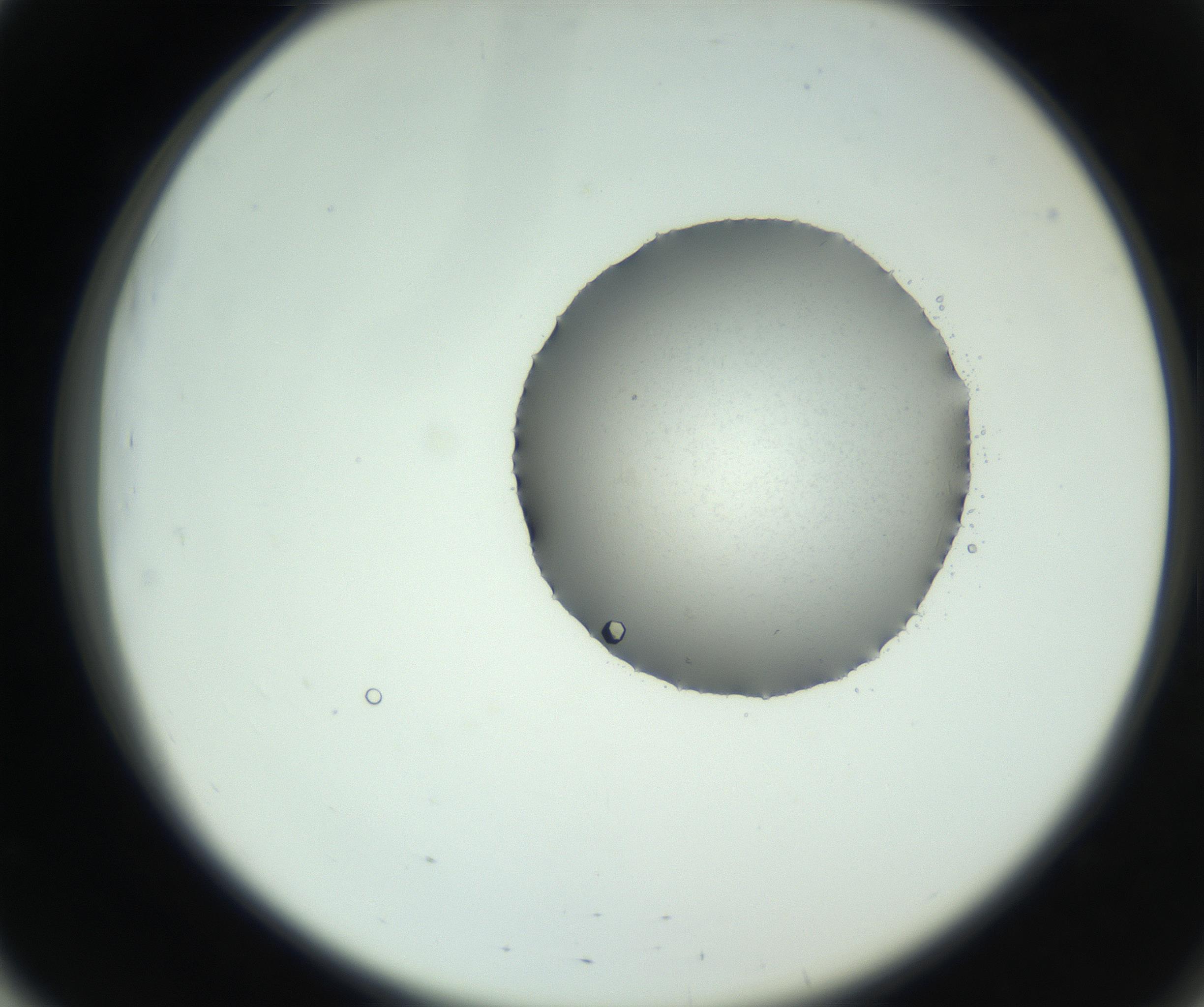 RI01_03_000_0212_Proj1_Clon1_MC_0000MC102729_007_160929_03_05_02_00_99_002_001_RAI.jpg