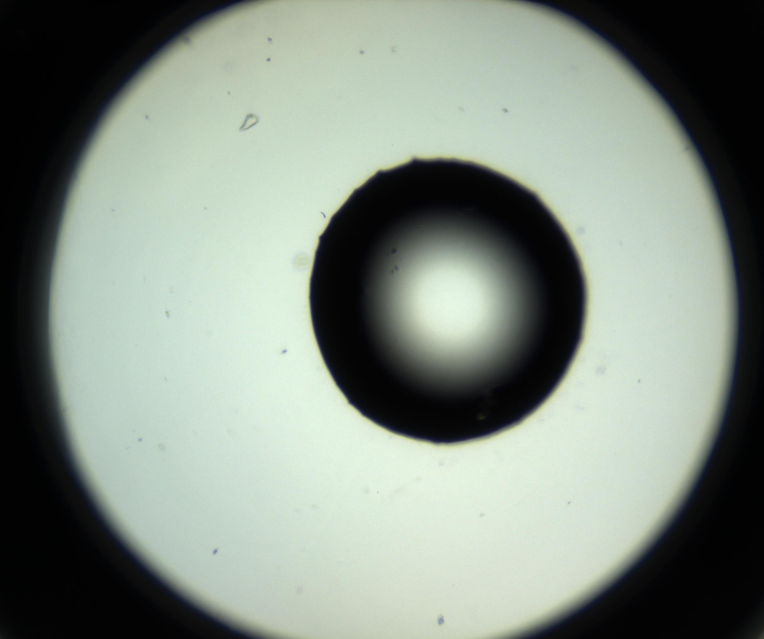 RI01_03_000_0212_Proj1_Clon1_MC_0000MC102729_009_161013_01_03_02_00_98_002_001_RAI.jpg