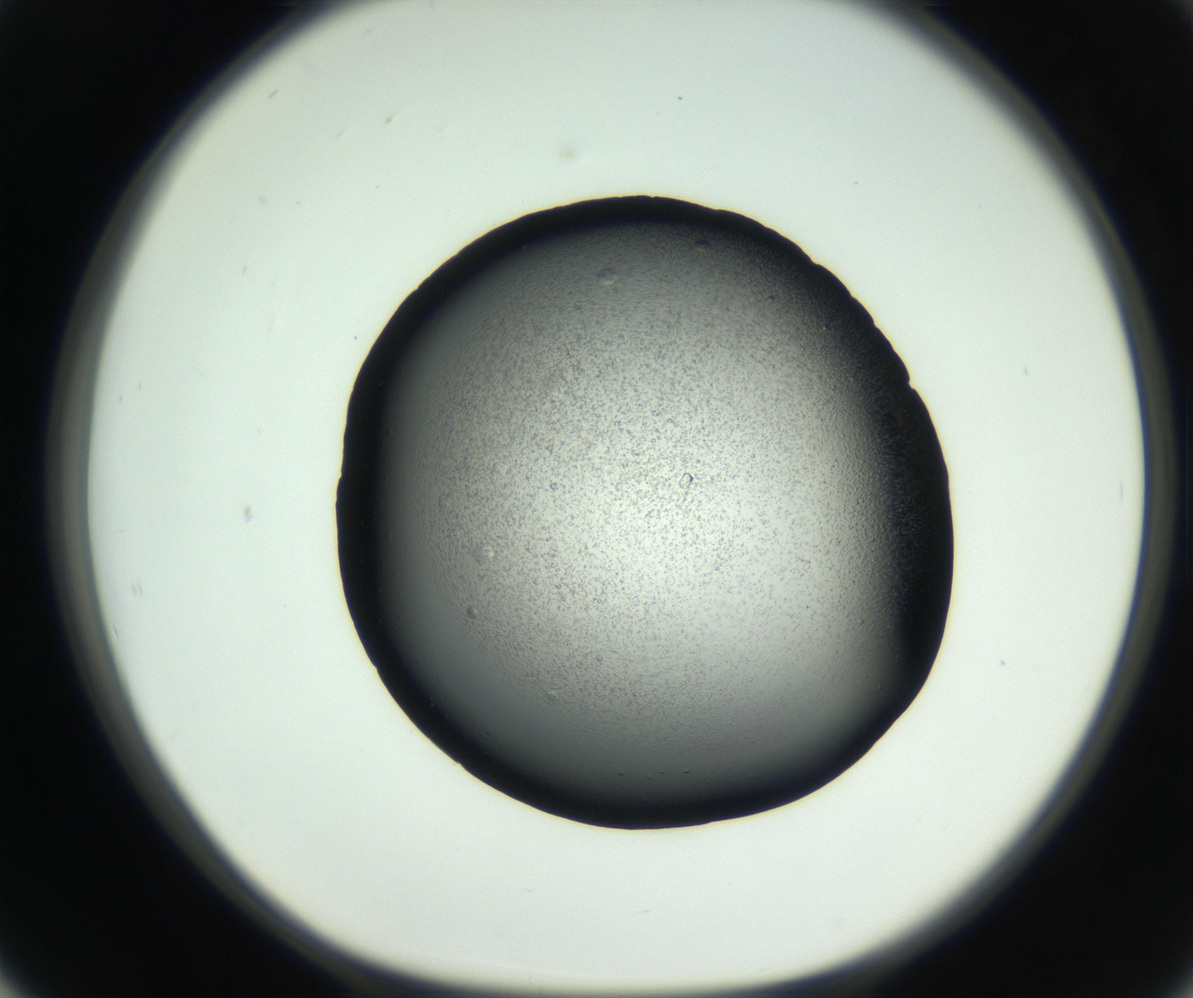 RI01_03_000_0212_Proj1_Clon1_MC_0000MC102732_005_160922_02_05_01_00_99_002_001_RAI.jpg