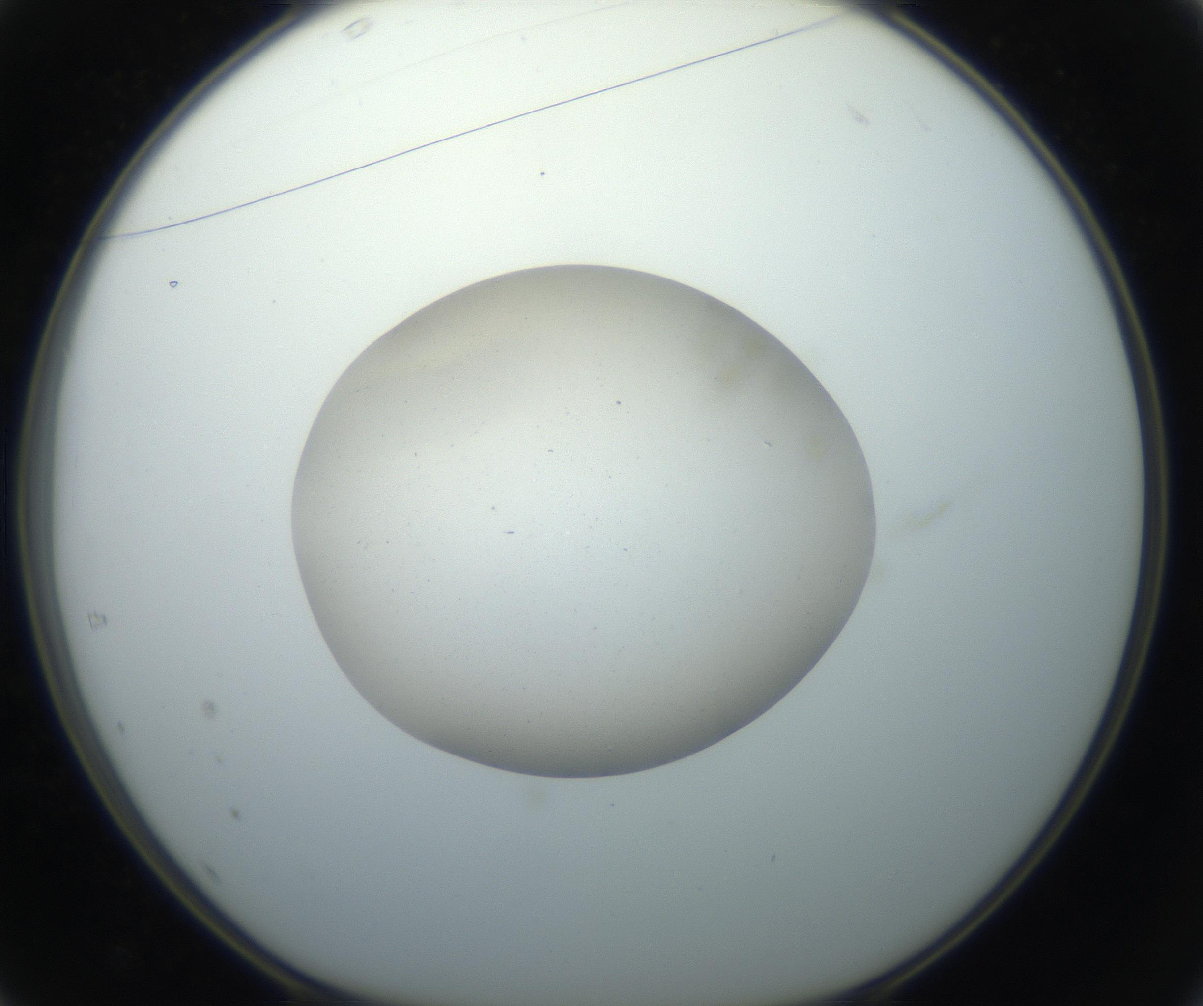 RI01_03_000_0212_Proj1_Clon1_MC_0000MC102733_003_160921_01_04_01_00_99_002_001_RAI.jpg