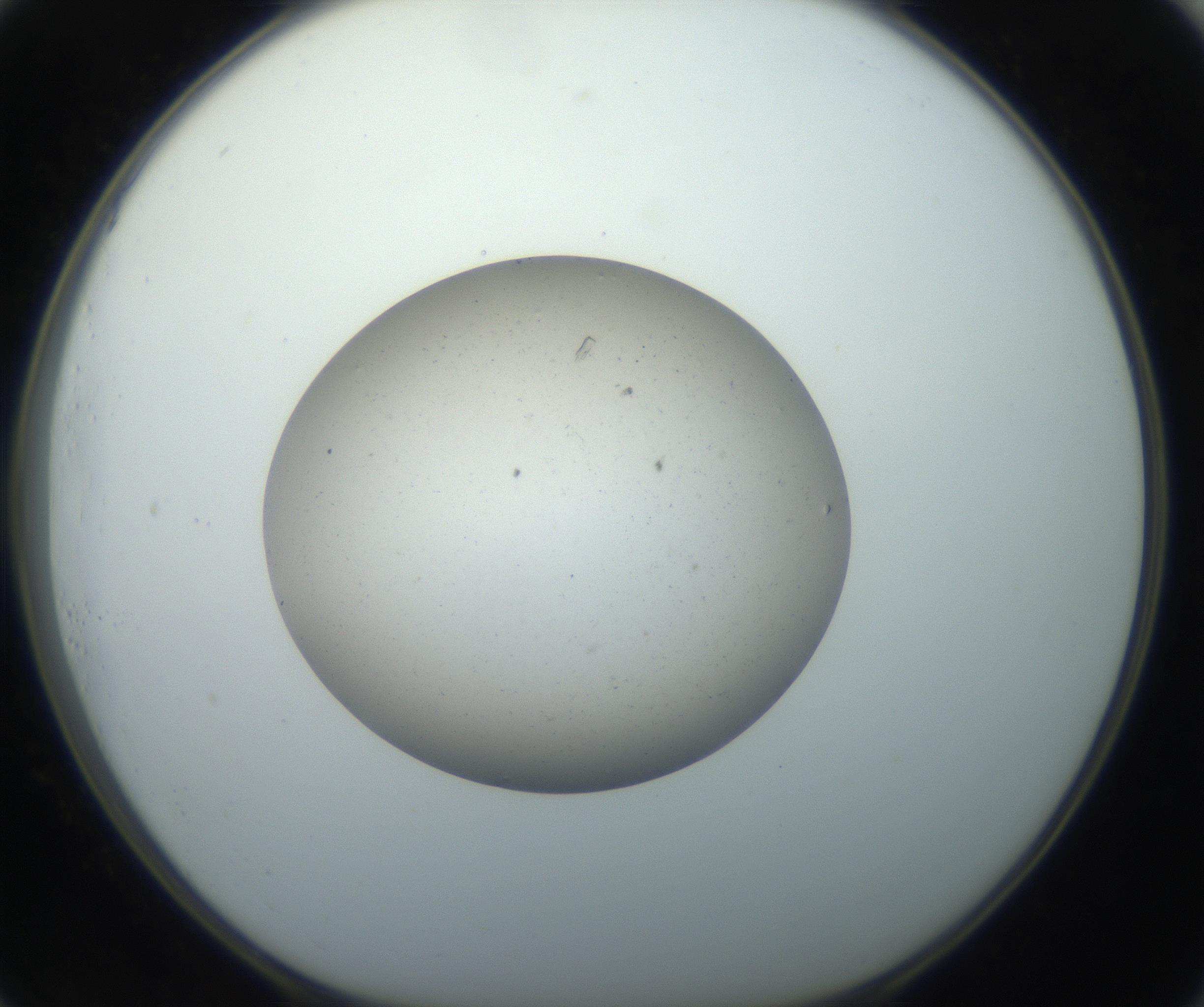 RI01_03_000_0212_Proj1_Clon1_MC_0000MC102733_003_160921_01_07_01_00_99_002_001_RAI.jpg