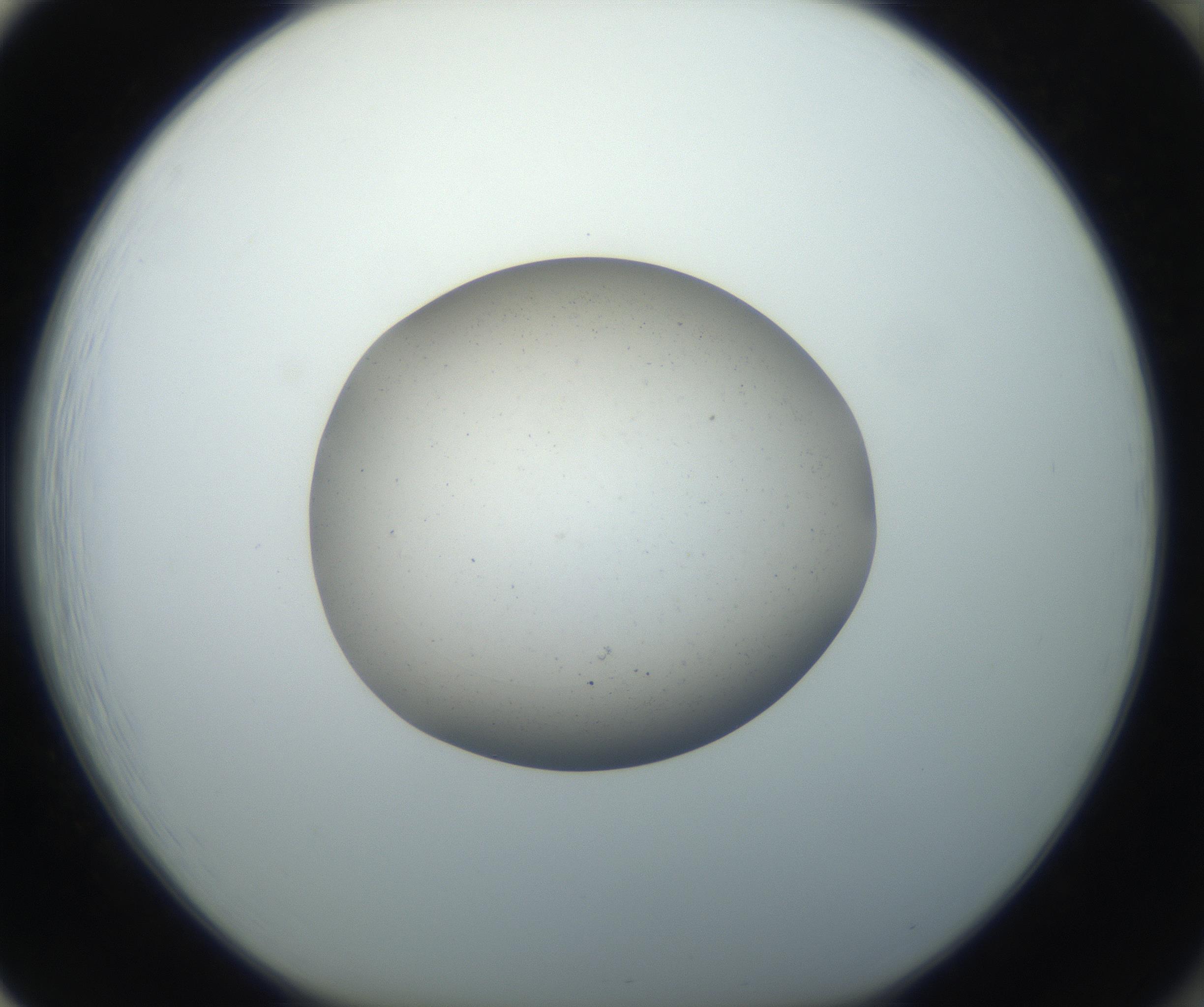 RI01_03_000_0212_Proj1_Clon1_MC_0000MC102733_003_160921_01_08_01_00_99_002_001_RAI.jpg