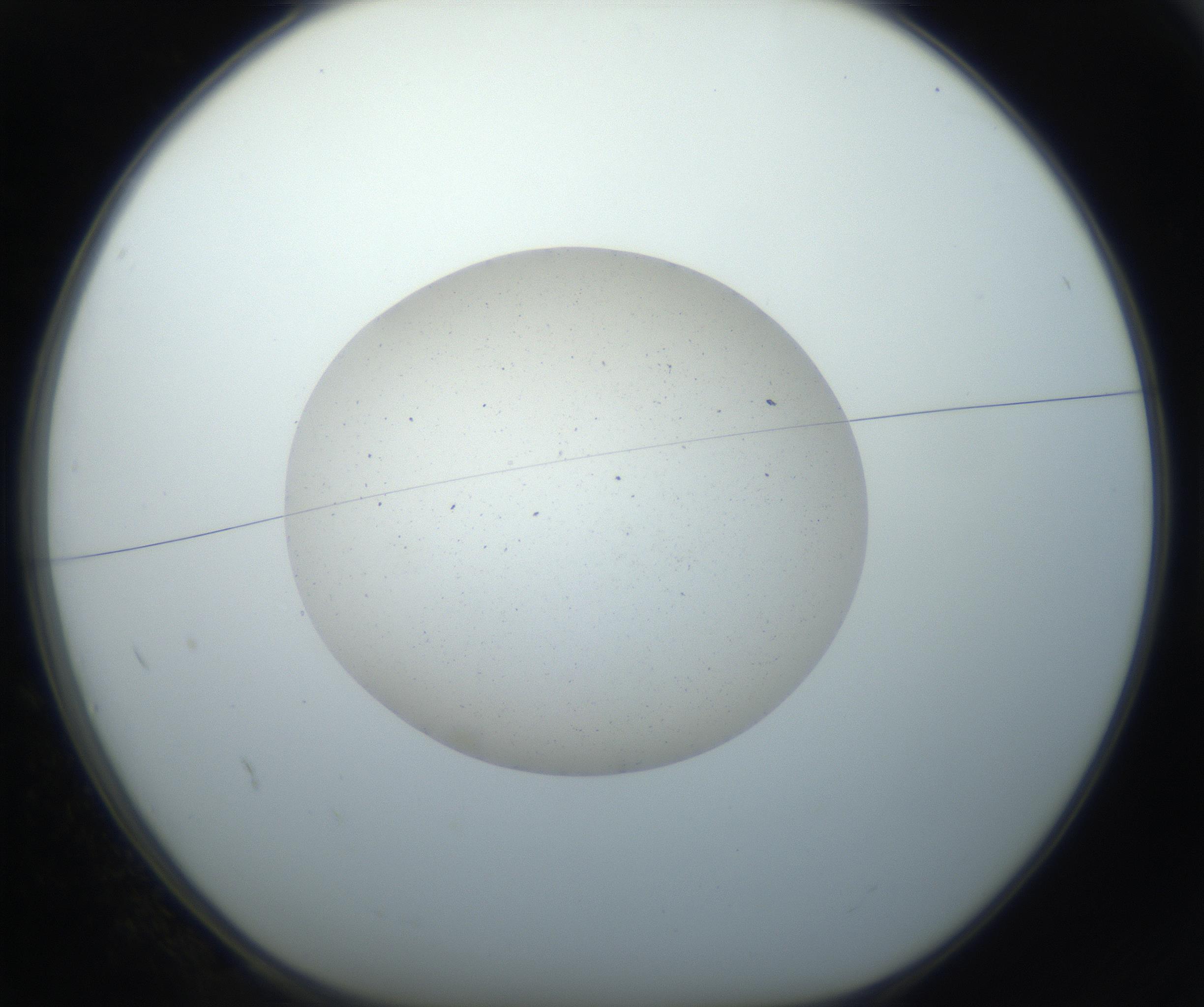 RI01_03_000_0212_Proj1_Clon1_MC_0000MC102733_003_160921_02_01_01_00_99_002_001_RAI.jpg