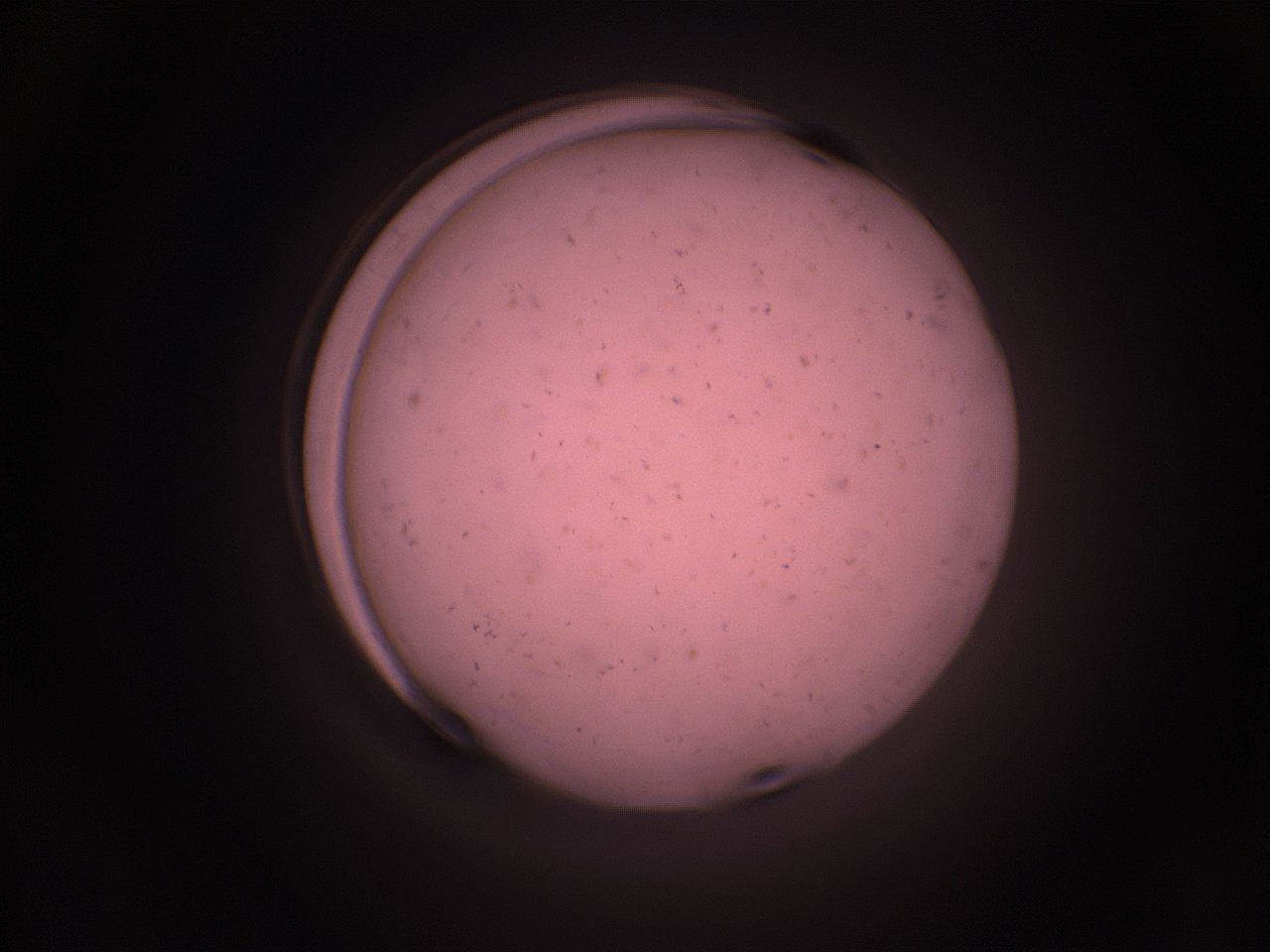 05i3_A24_ImagerDefaults_9.jpg