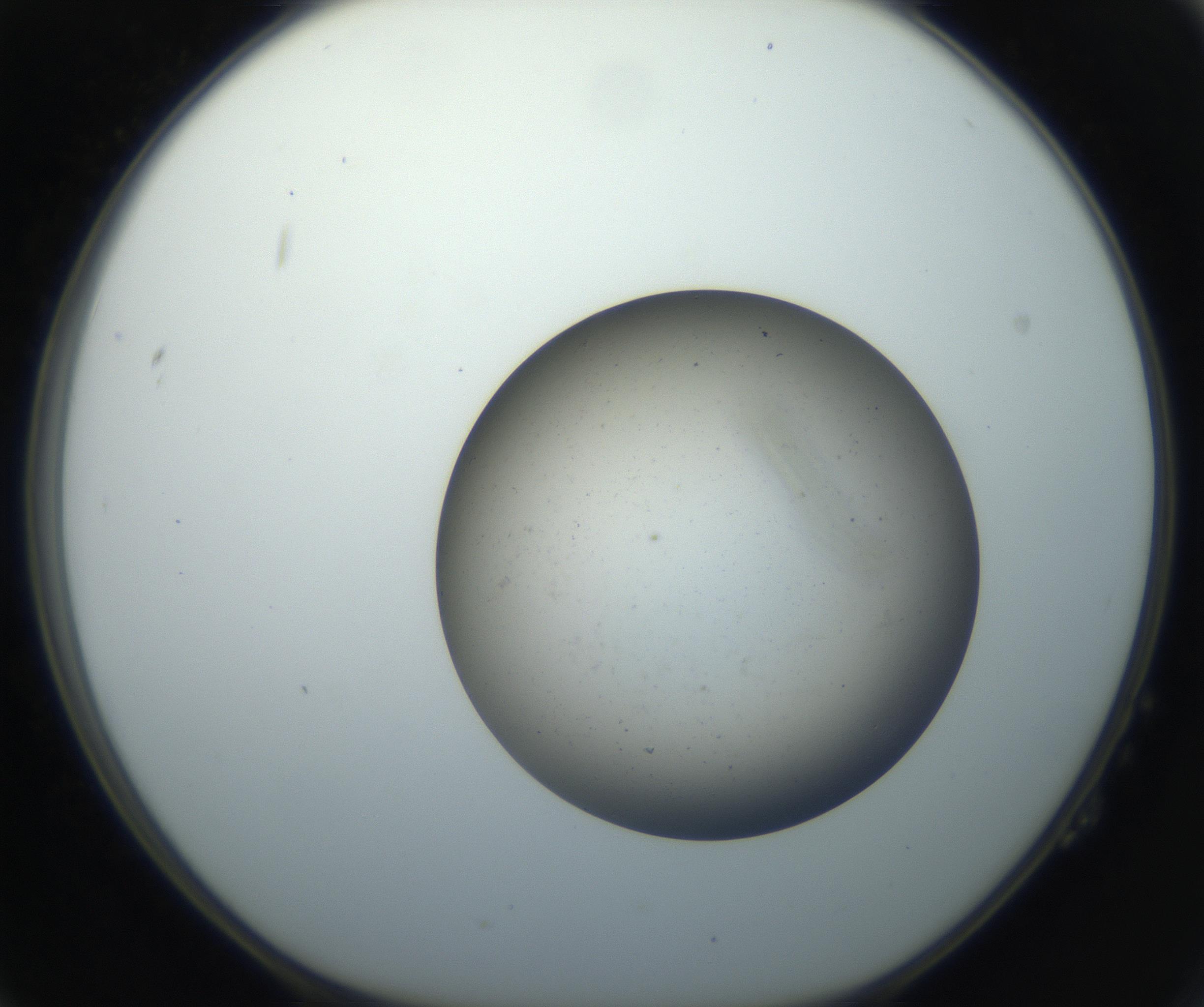 RI01_03_000_0212_Proj1_Clon1_MC_0000MC102733_003_160921_02_02_01_00_99_002_001_RAI.jpg