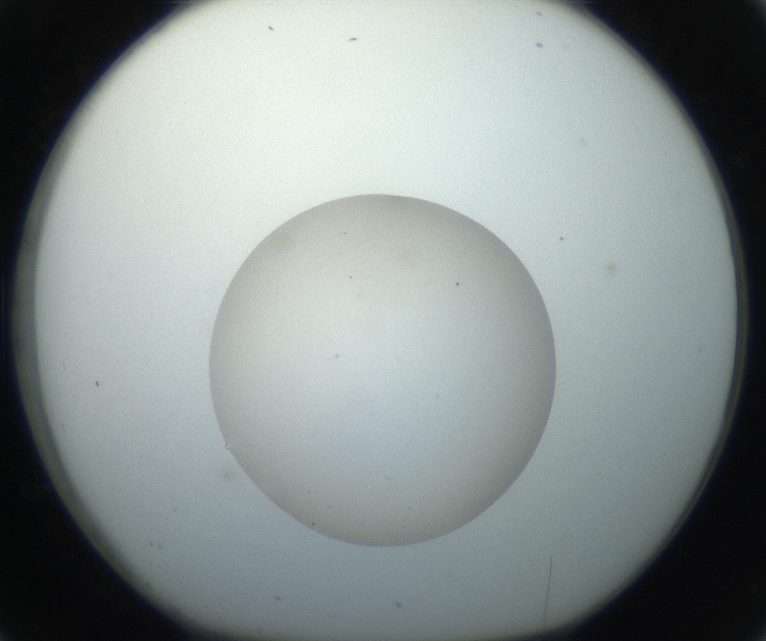 RI01_03_000_0212_Proj1_Clon1_MC_0000MC102733_003_160921_02_03_01_00_99_002_001_RAI.jpg