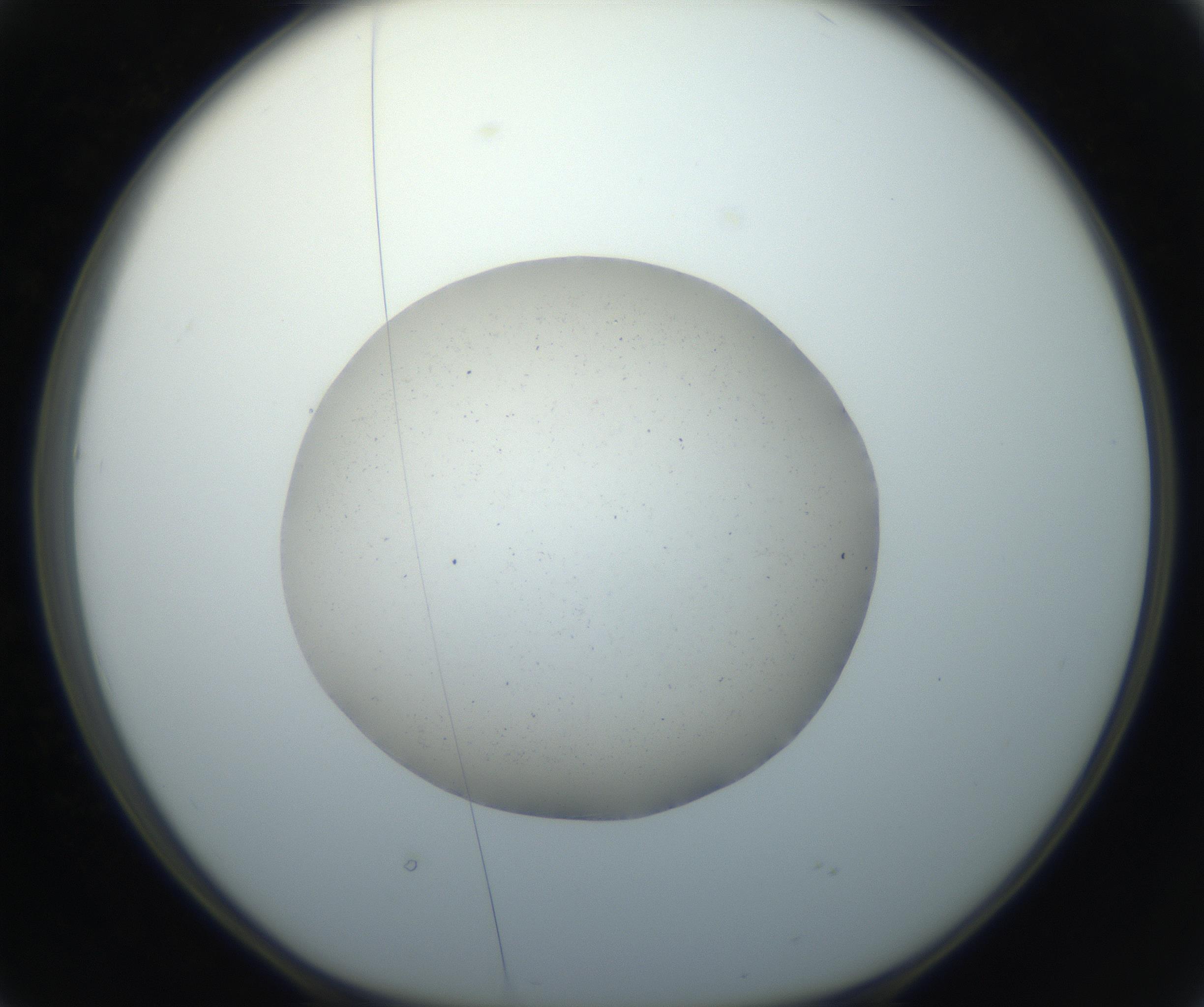 RI01_03_000_0212_Proj1_Clon1_MC_0000MC102733_003_160921_02_04_01_00_99_002_001_RAI.jpg