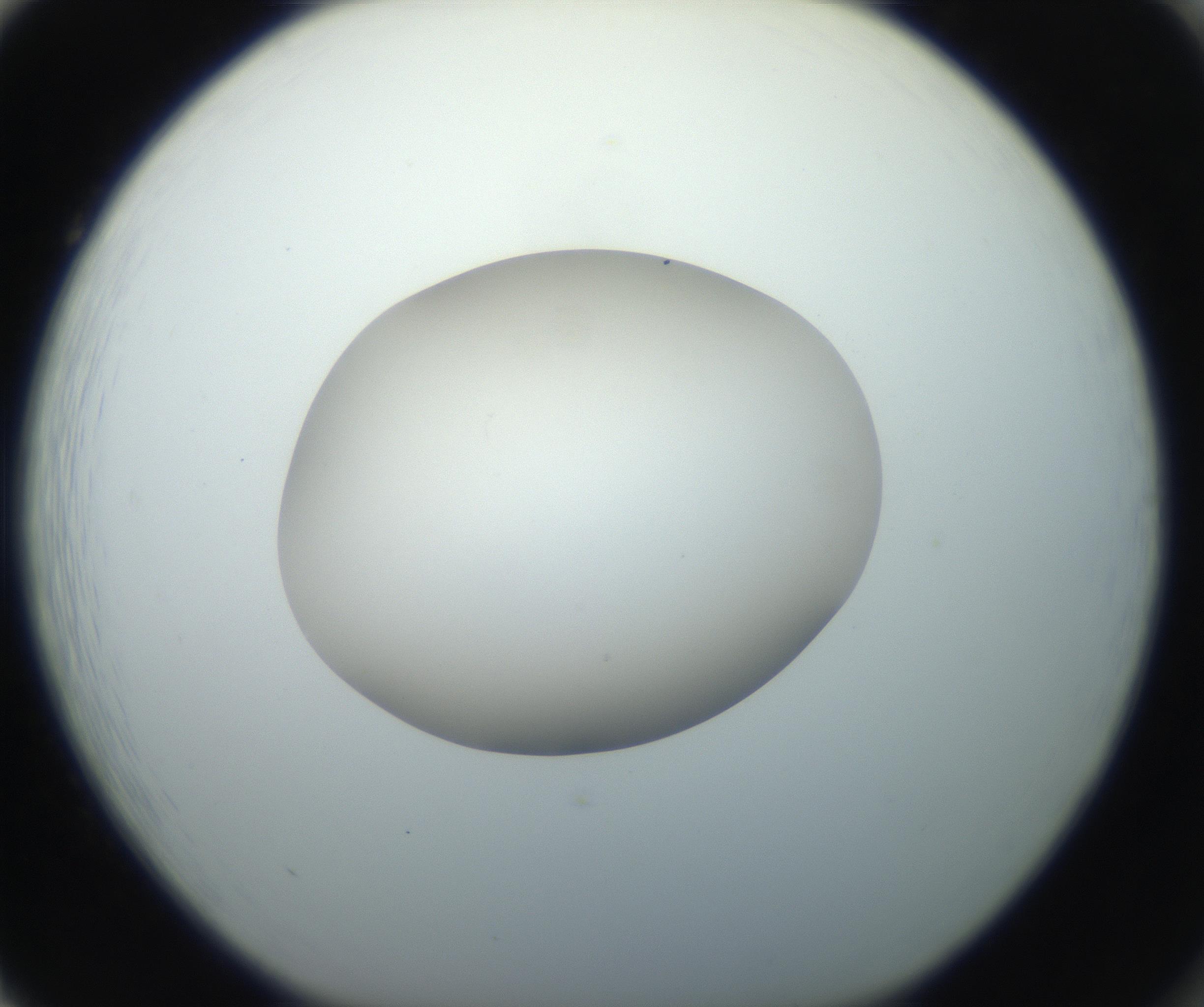 RI01_03_000_0212_Proj1_Clon1_MC_0000MC102733_003_160921_02_08_01_00_99_002_001_RAI.jpg