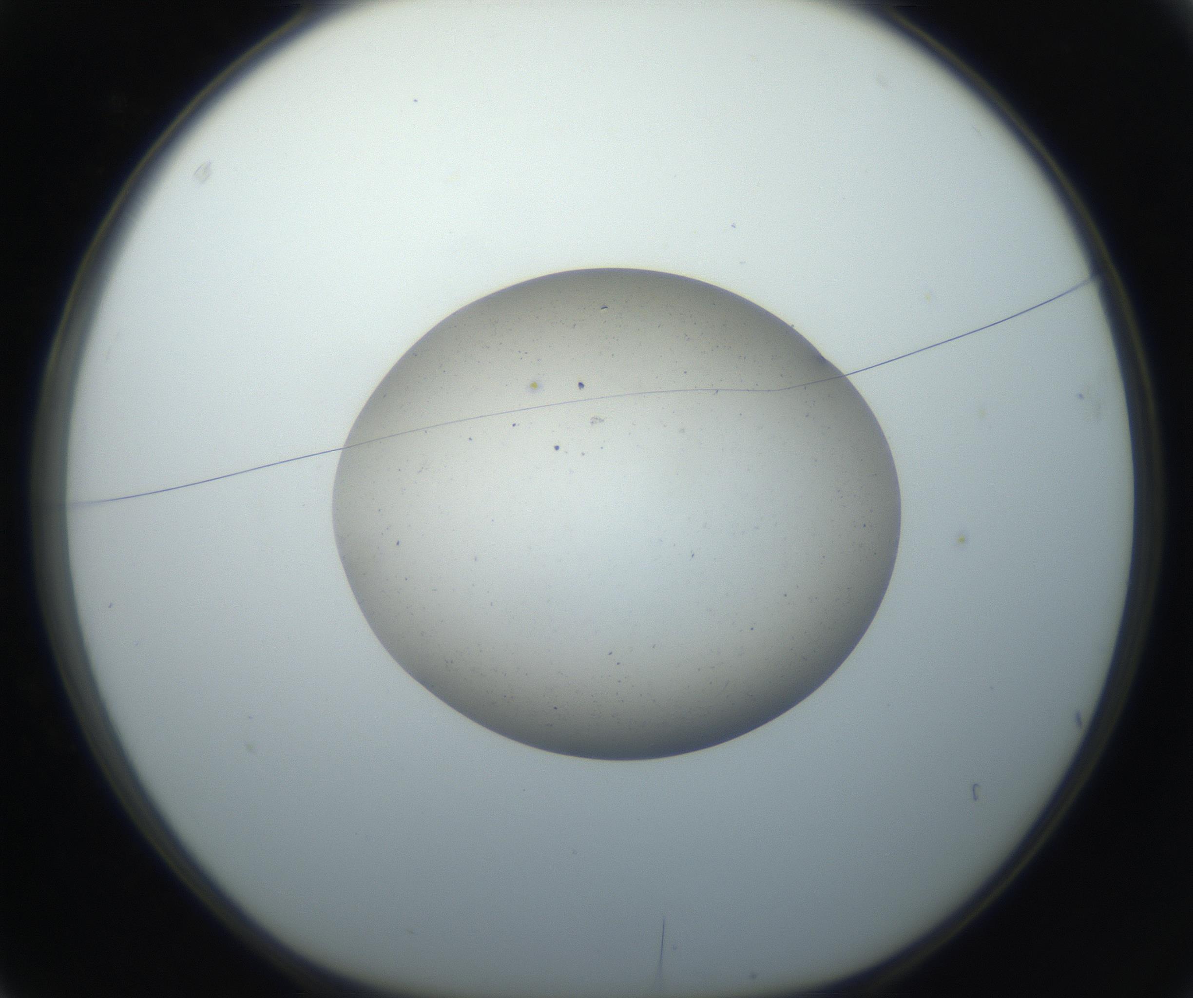RI01_03_000_0212_Proj1_Clon1_MC_0000MC102733_003_160921_03_01_01_00_99_002_001_RAI.jpg