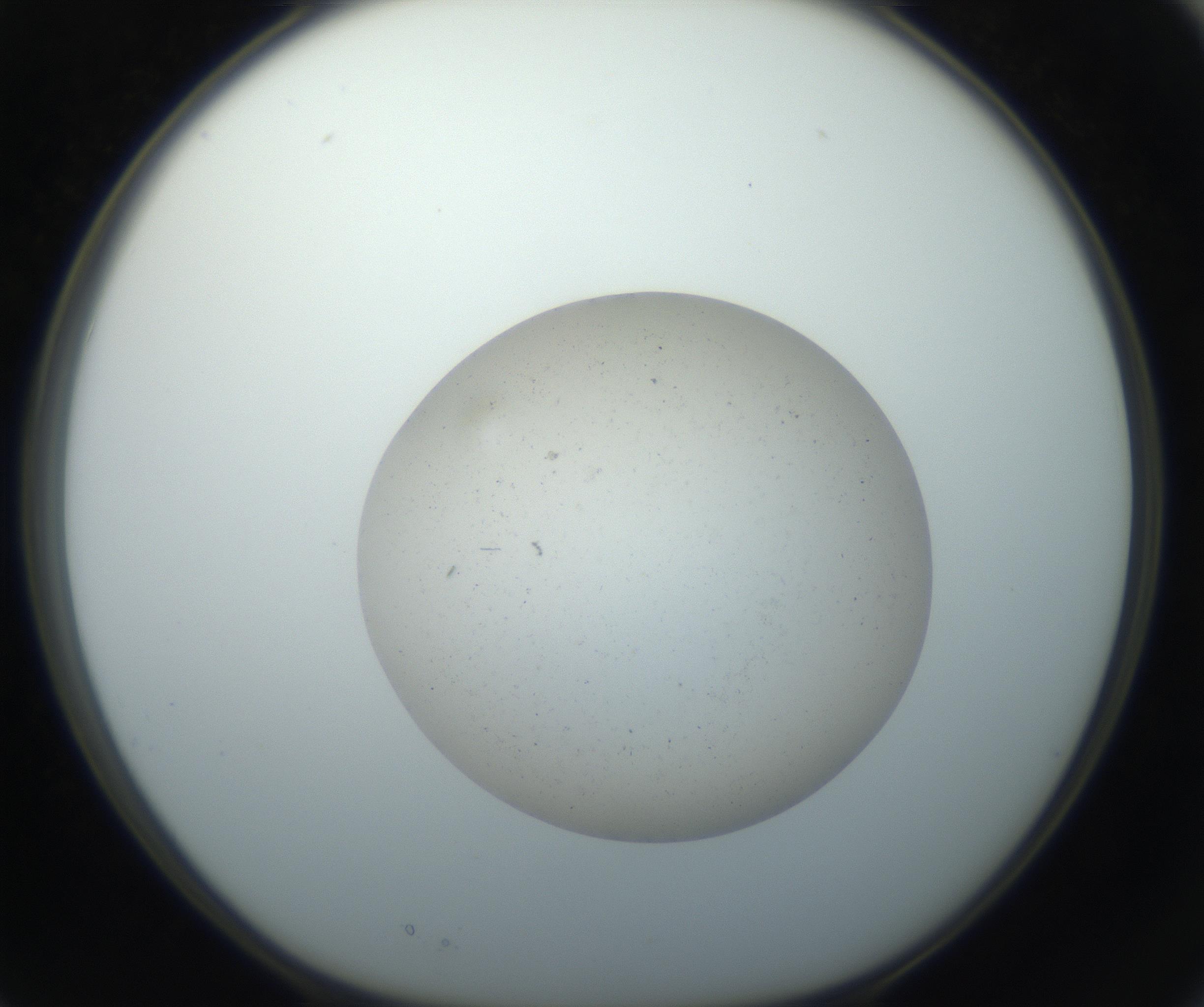 RI01_03_000_0212_Proj1_Clon1_MC_0000MC102733_003_160921_03_02_01_00_99_002_001_RAI.jpg
