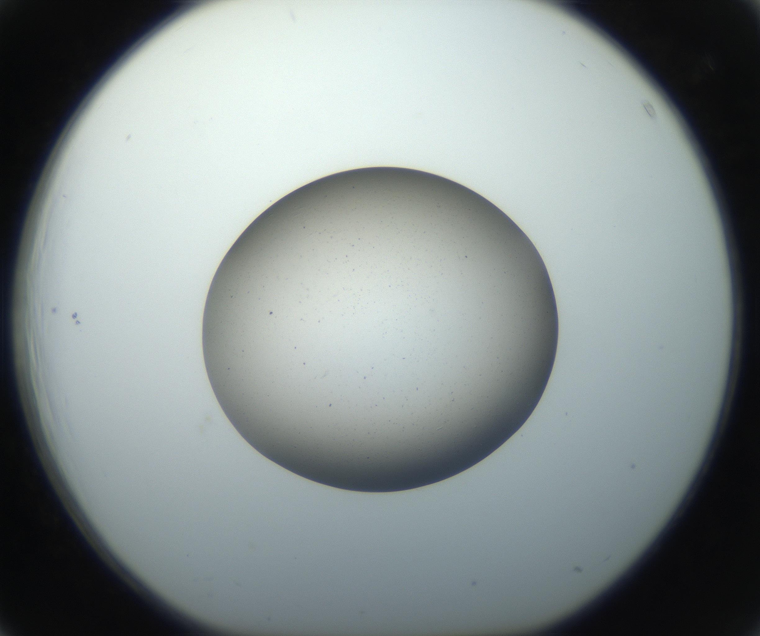 RI01_03_000_0212_Proj1_Clon1_MC_0000MC102733_003_160921_03_04_01_00_99_002_001_RAI.jpg