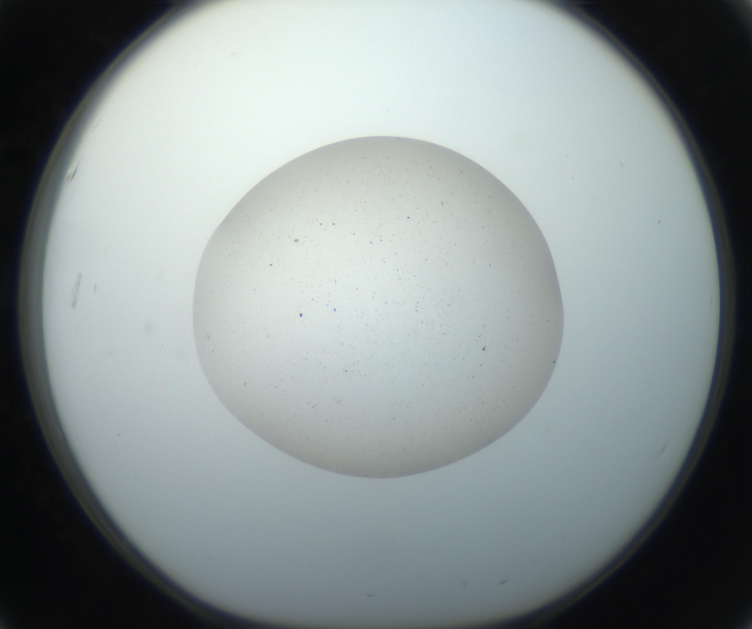RI01_03_000_0212_Proj1_Clon1_MC_0000MC102733_003_160921_03_05_01_00_99_002_001_RAI.jpg