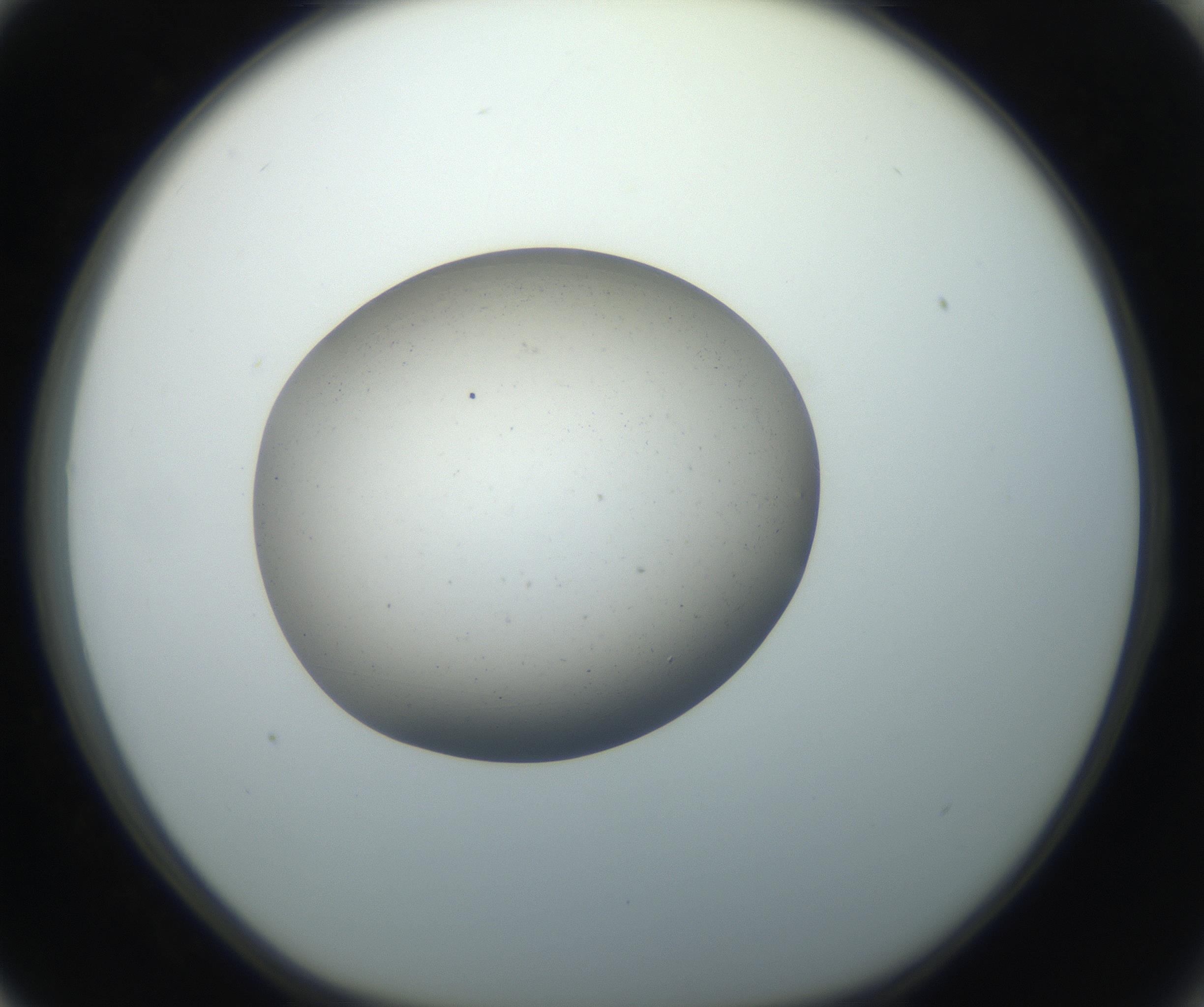 RI01_03_000_0212_Proj1_Clon1_MC_0000MC102733_003_160921_03_08_01_00_99_002_001_RAI.jpg