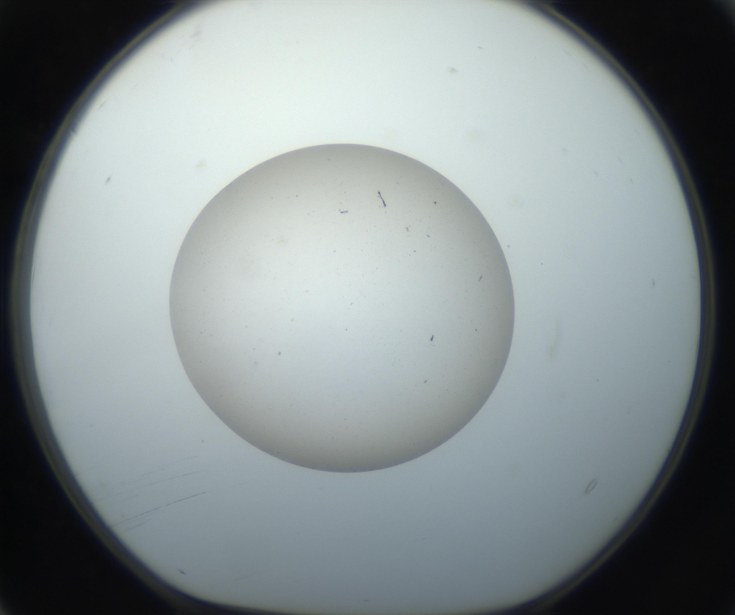 RI01_03_000_0212_Proj1_Clon1_MC_0000MC102733_003_160921_04_01_01_00_99_002_001_RAI.jpg
