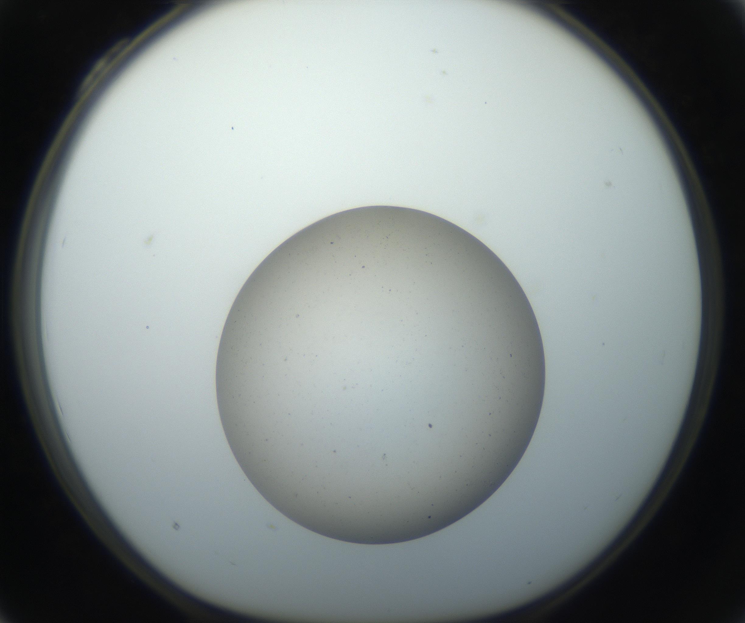 RI01_03_000_0212_Proj1_Clon1_MC_0000MC102733_003_160921_04_03_01_00_99_002_001_RAI.jpg