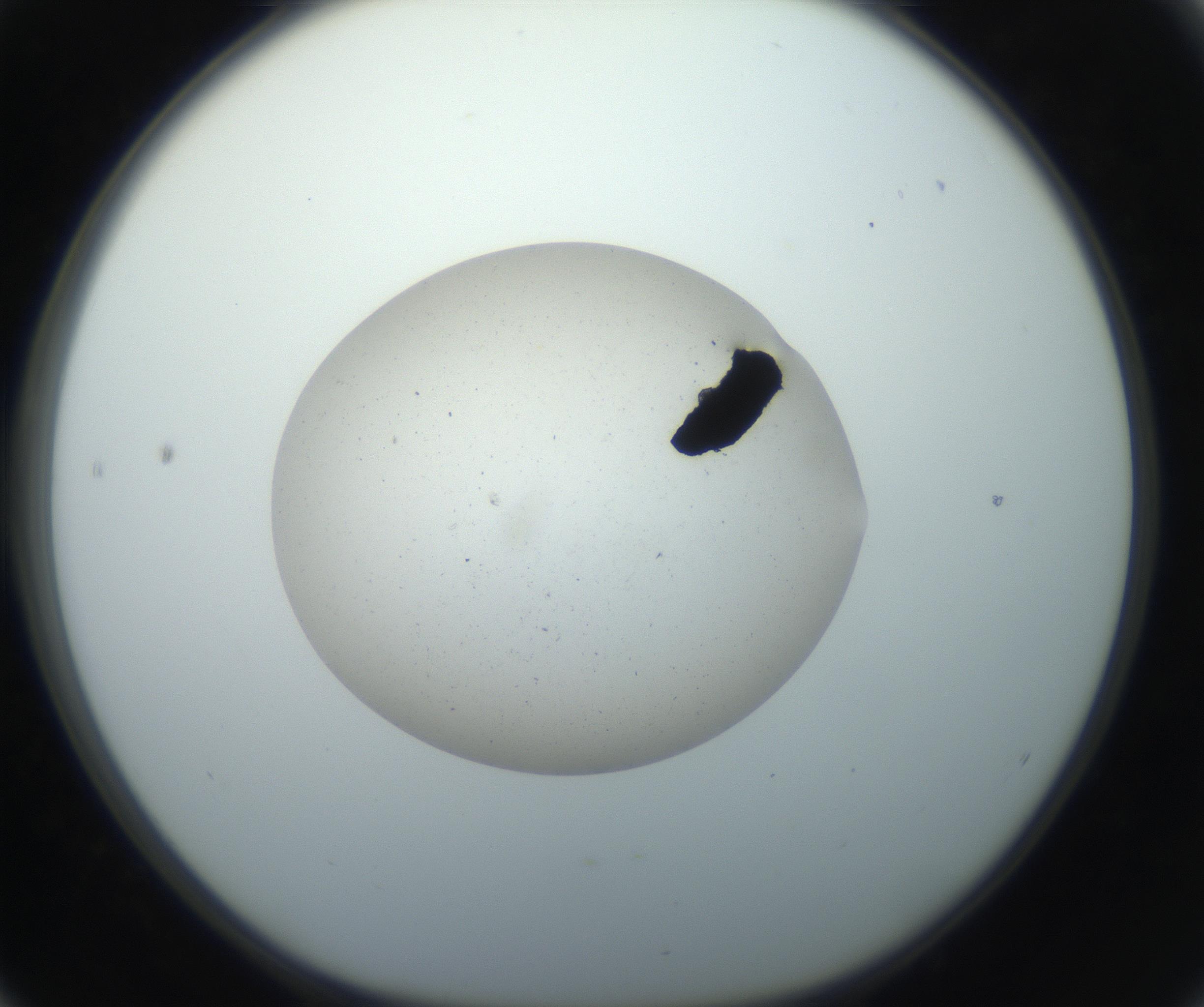 RI01_03_000_0212_Proj1_Clon1_MC_0000MC102733_003_160921_04_05_01_00_99_002_001_RAI.jpg