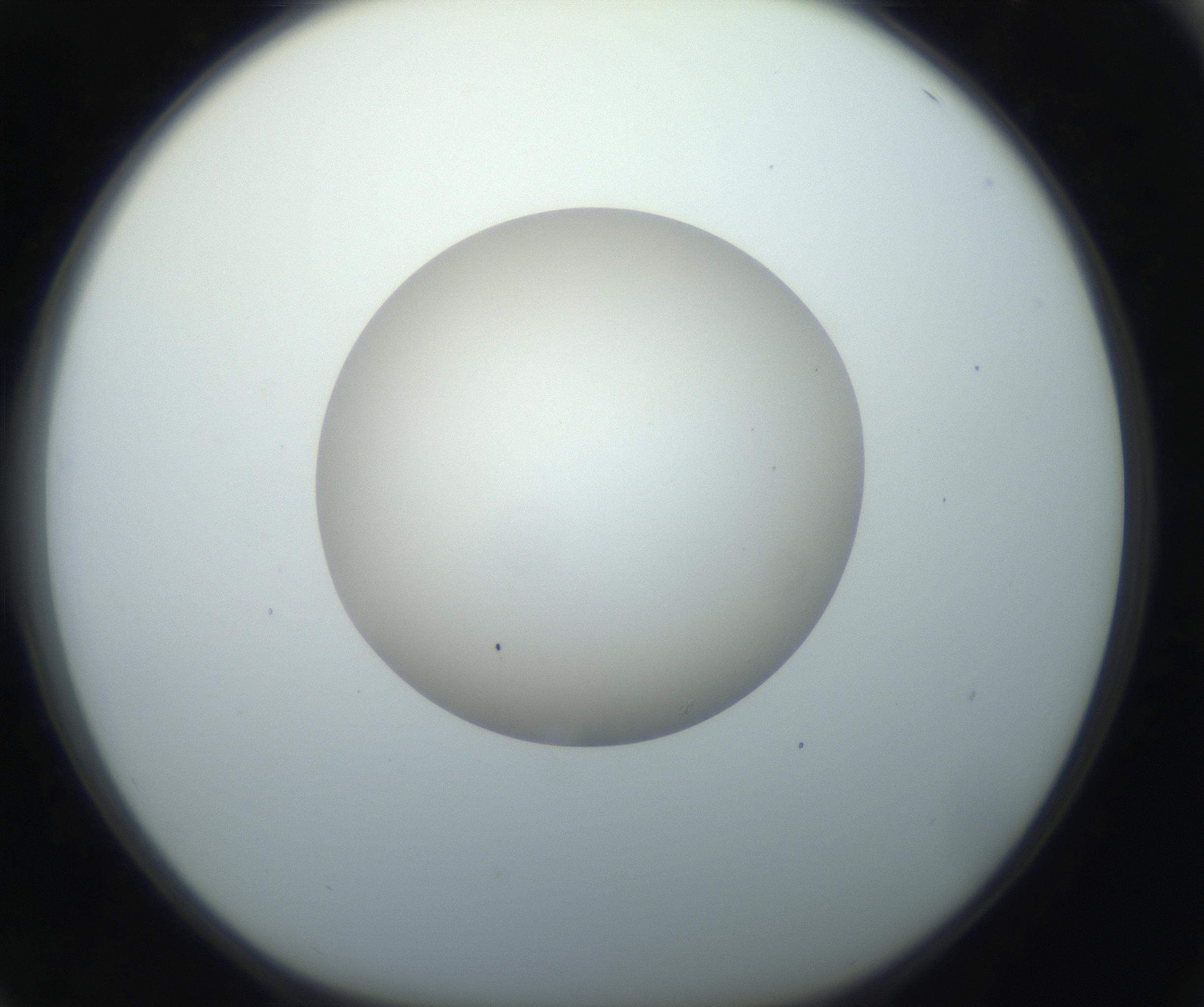 RI01_03_000_0212_Proj1_Clon1_MC_0000MC102733_003_160921_04_06_01_00_99_002_001_RAI.jpg