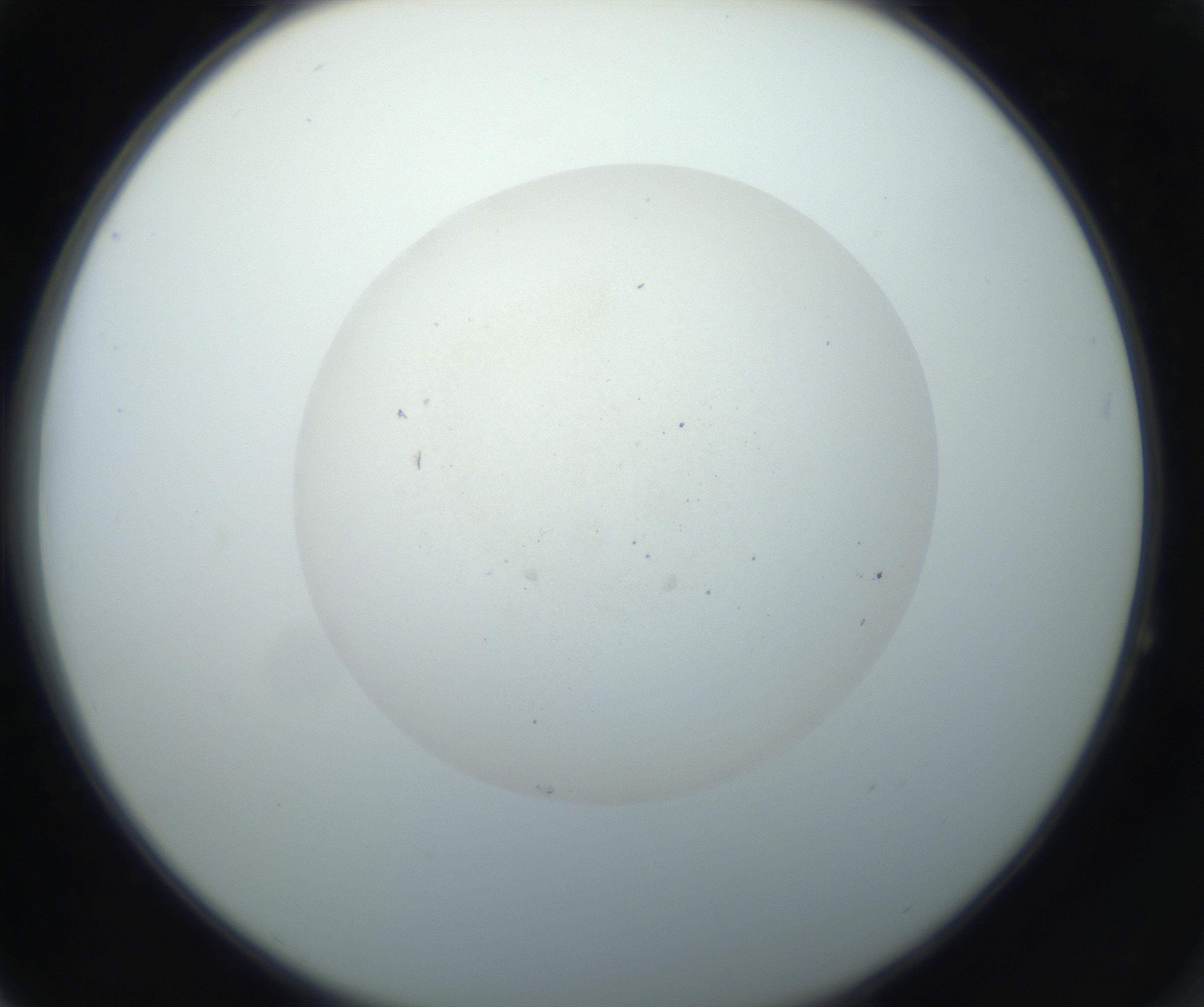 RI01_03_000_0212_Proj1_Clon1_MC_0000MC102733_003_160921_04_06_02_00_99_002_001_RAI.jpg
