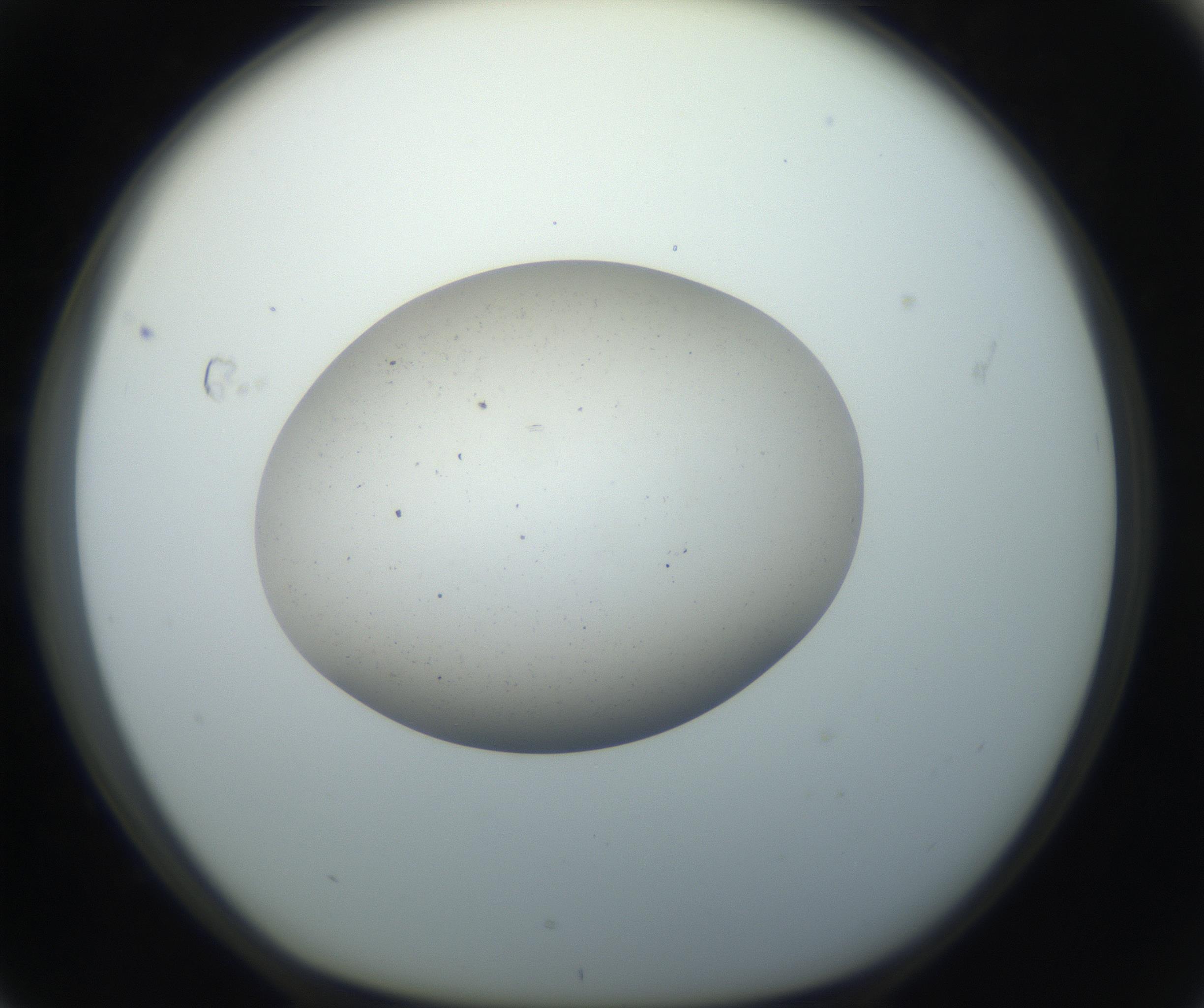 RI01_03_000_0212_Proj1_Clon1_MC_0000MC102733_003_160921_04_07_01_00_99_002_001_RAI.jpg