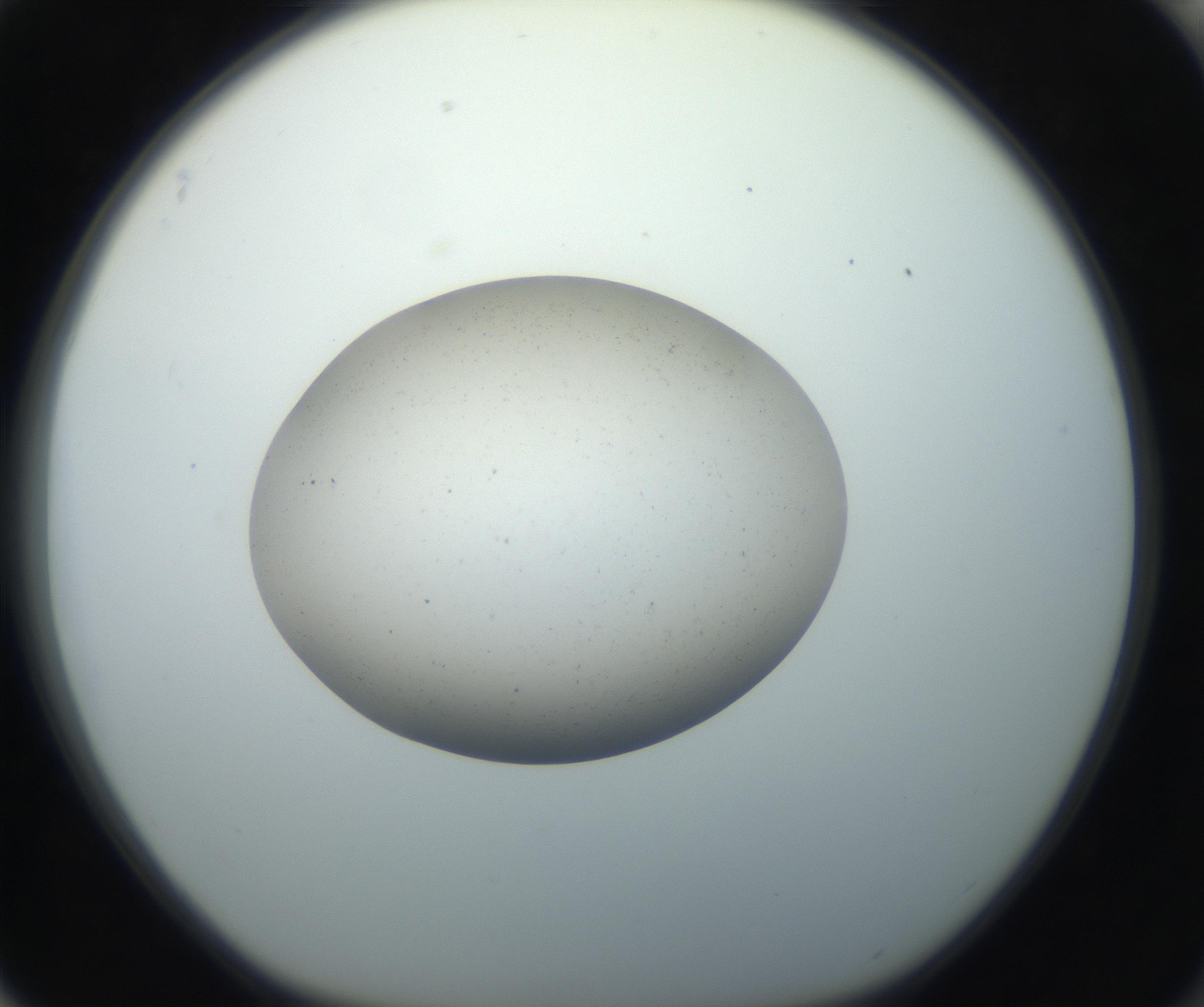 RI01_03_000_0212_Proj1_Clon1_MC_0000MC102733_003_160921_04_08_01_00_99_002_001_RAI.jpg