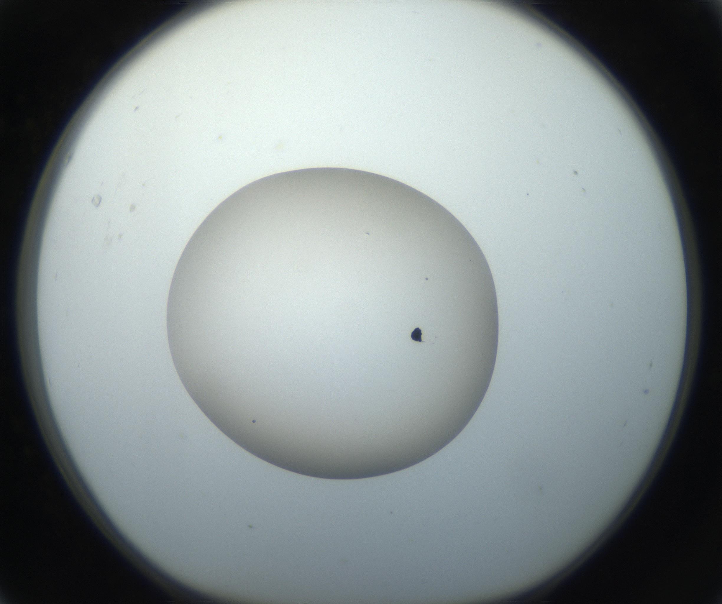 RI01_03_000_0212_Proj1_Clon1_MC_0000MC102733_003_160921_05_01_01_00_99_002_001_RAI.jpg