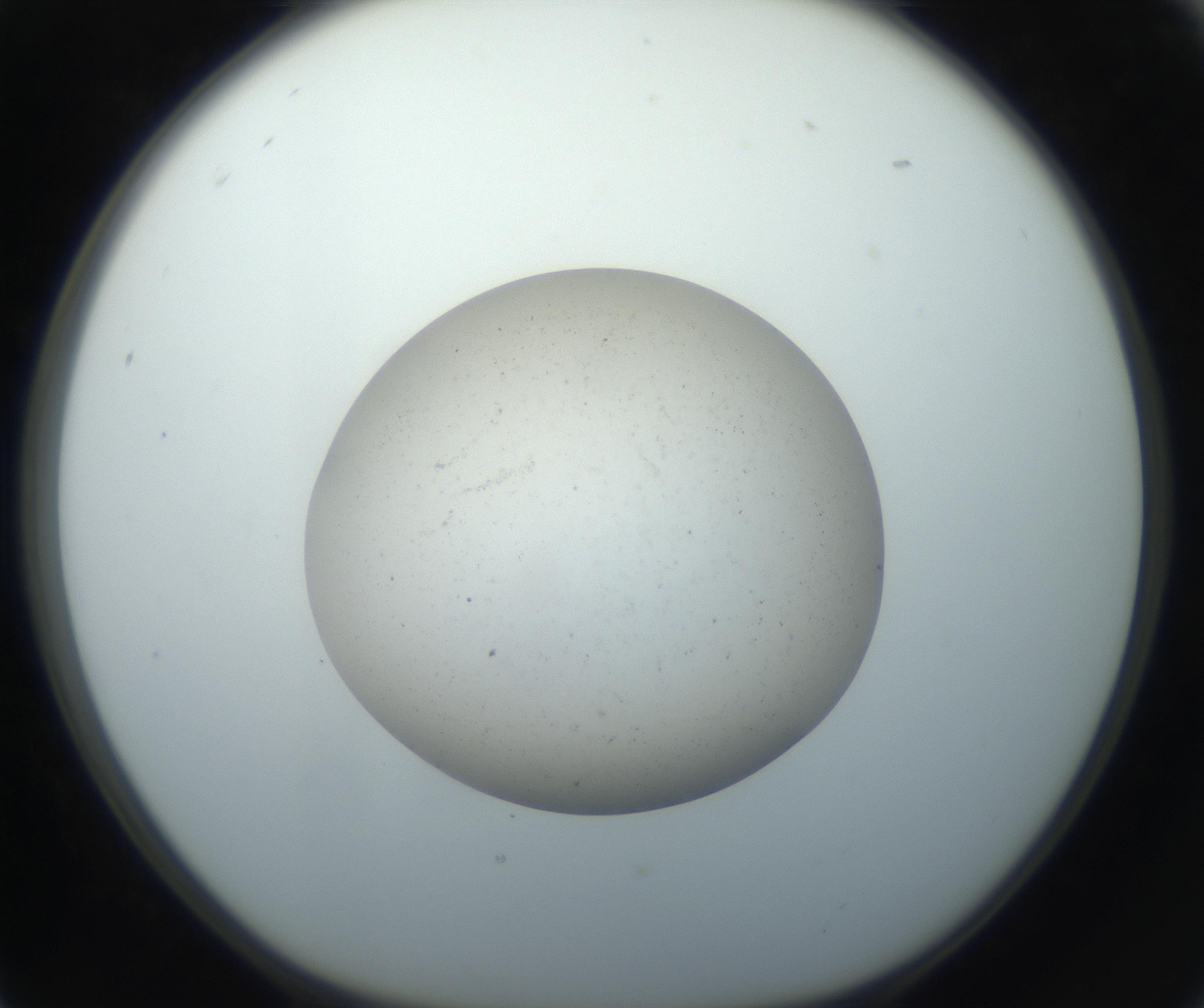 RI01_03_000_0212_Proj1_Clon1_MC_0000MC102733_003_160921_05_02_01_00_99_002_001_RAI.jpg