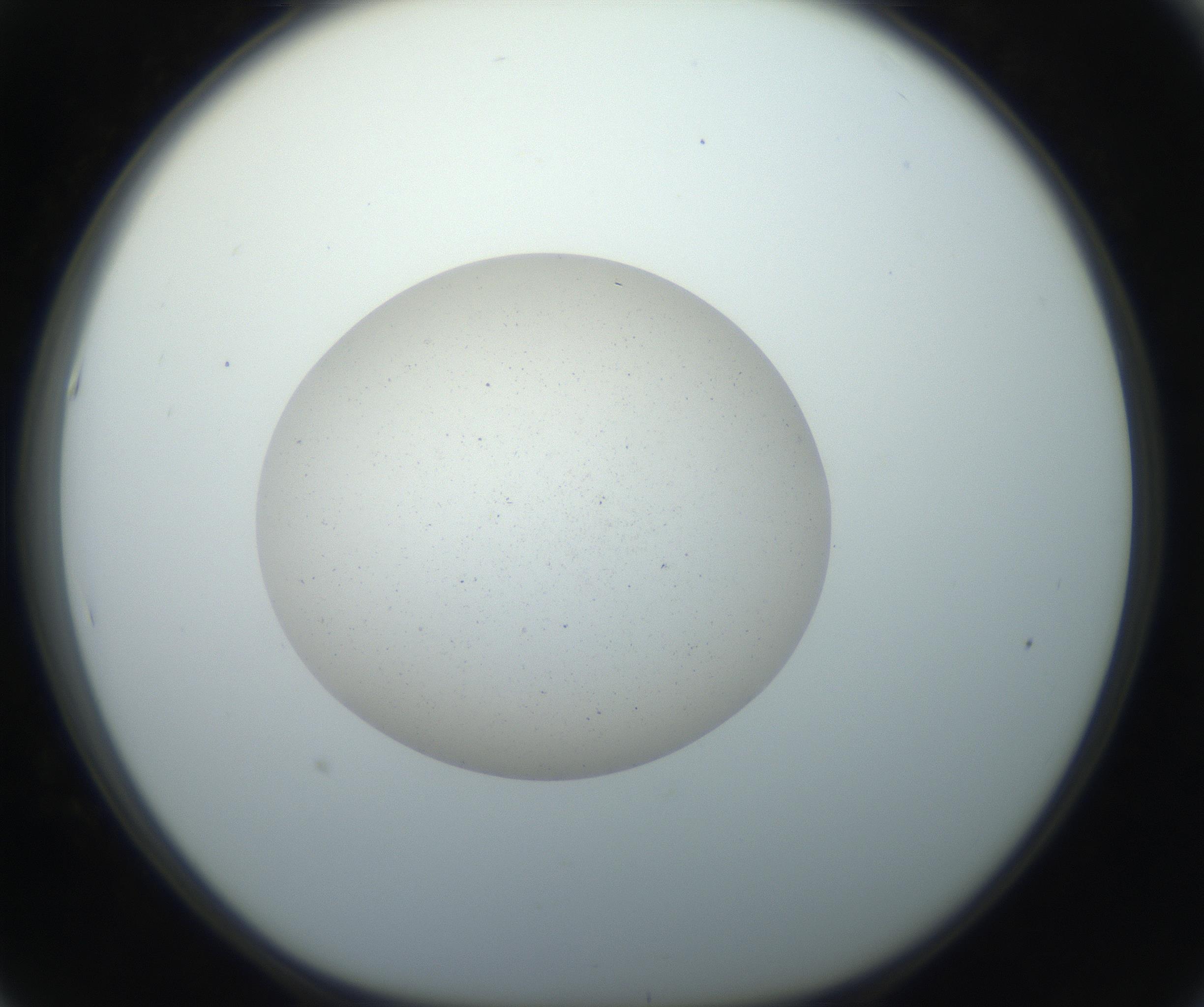 RI01_03_000_0212_Proj1_Clon1_MC_0000MC102733_003_160921_05_05_01_00_99_002_001_RAI.jpg