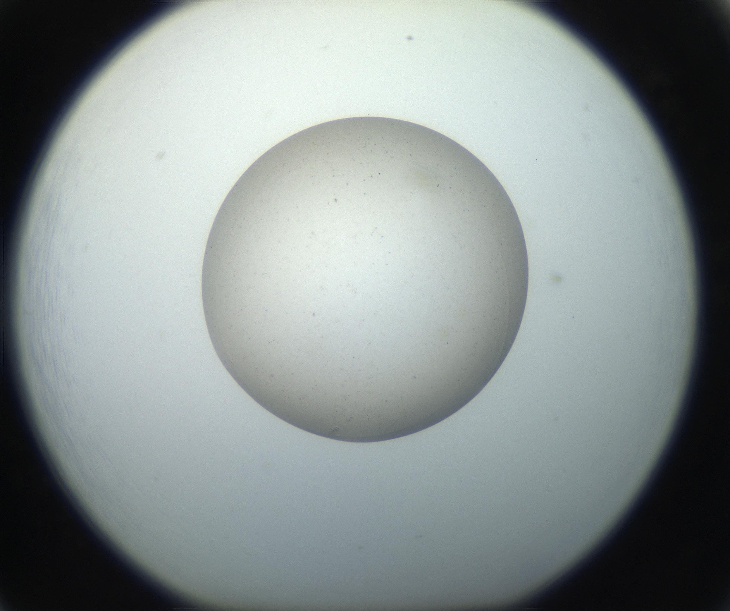 RI01_03_000_0212_Proj1_Clon1_MC_0000MC102733_003_160921_05_06_01_00_99_002_001_RAI.jpg