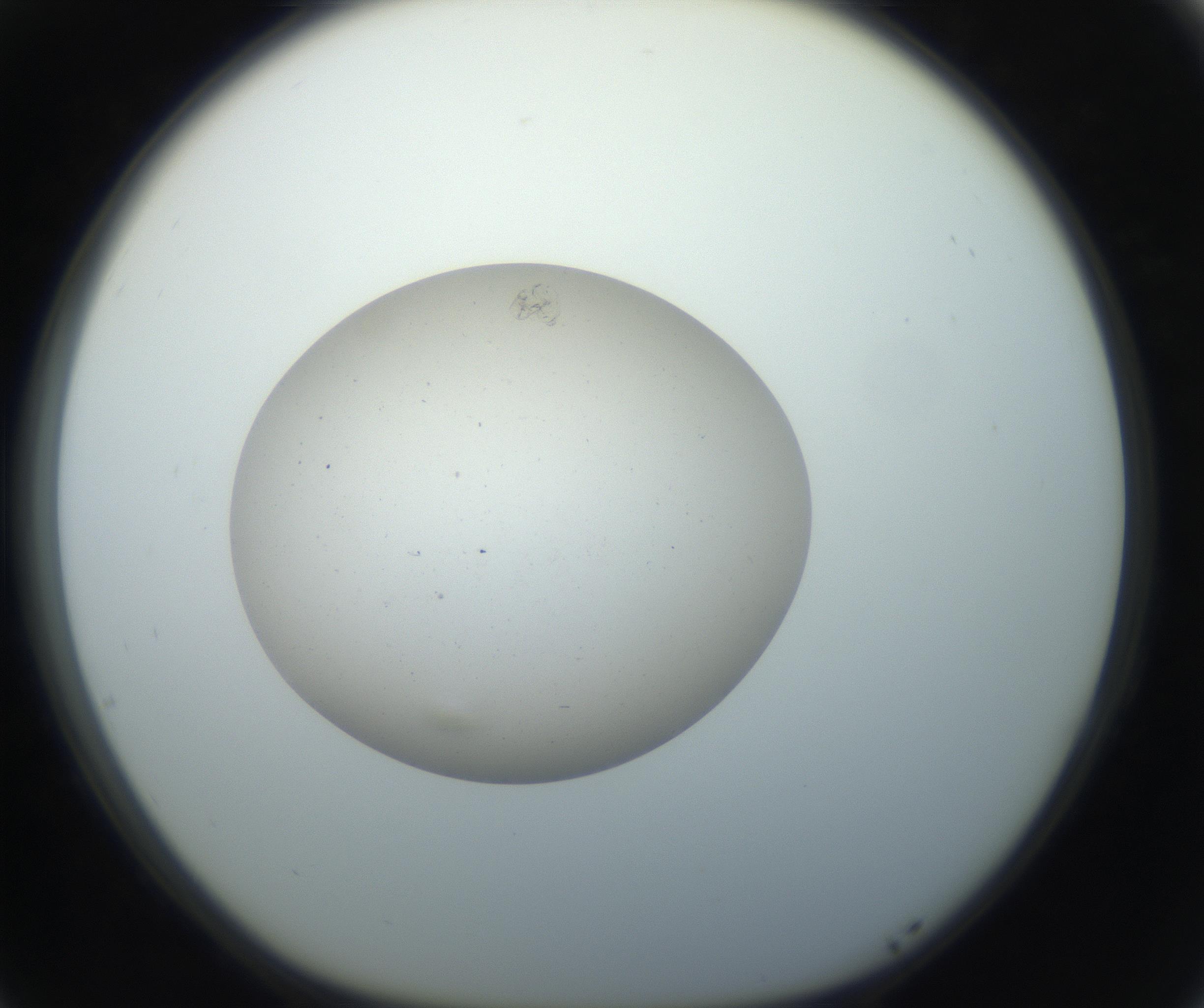 RI01_03_000_0212_Proj1_Clon1_MC_0000MC102733_003_160921_05_07_01_00_99_002_001_RAI.jpg