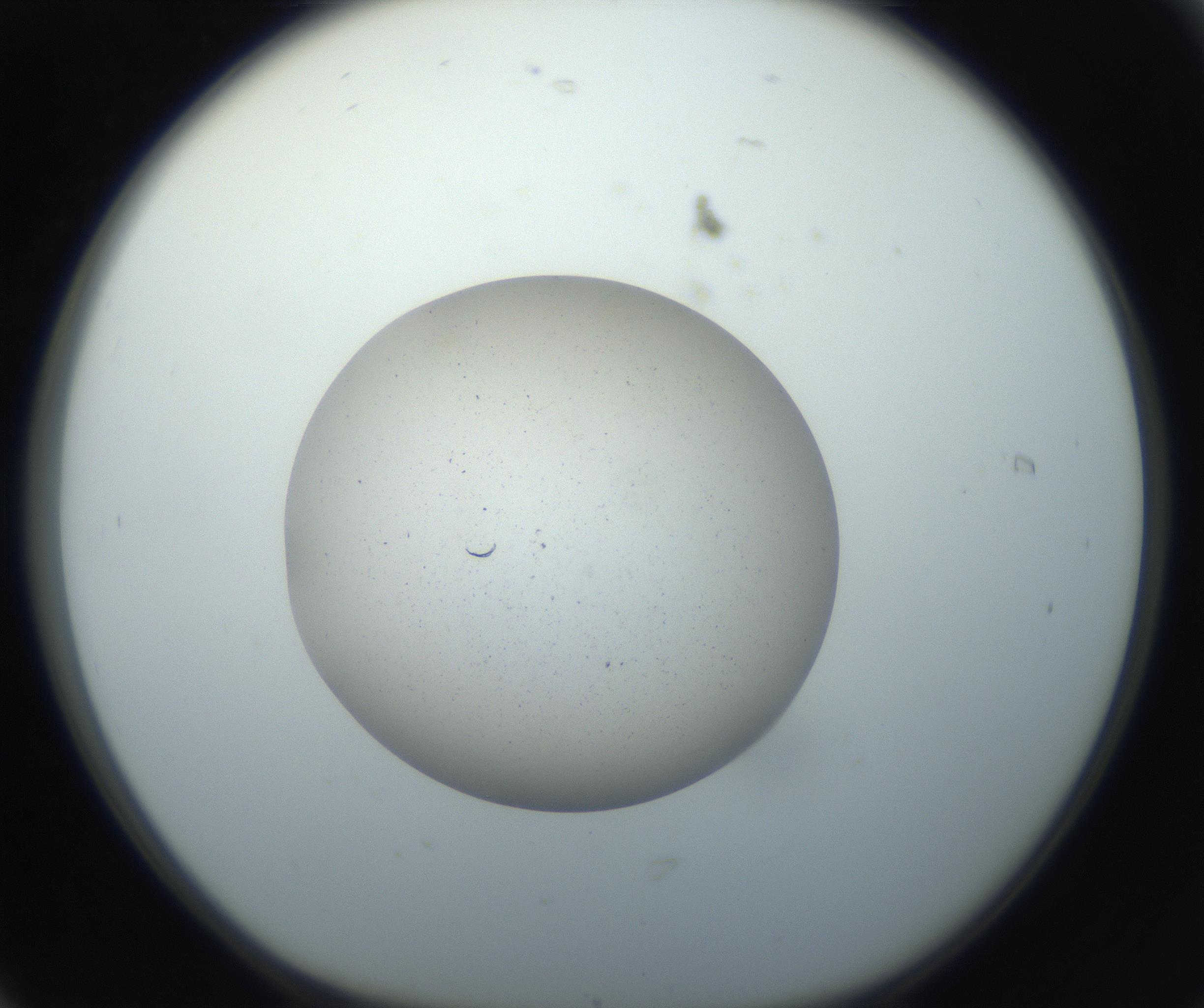 RI01_03_000_0212_Proj1_Clon1_MC_0000MC102733_003_160921_06_01_01_00_99_002_001_RAI.jpg
