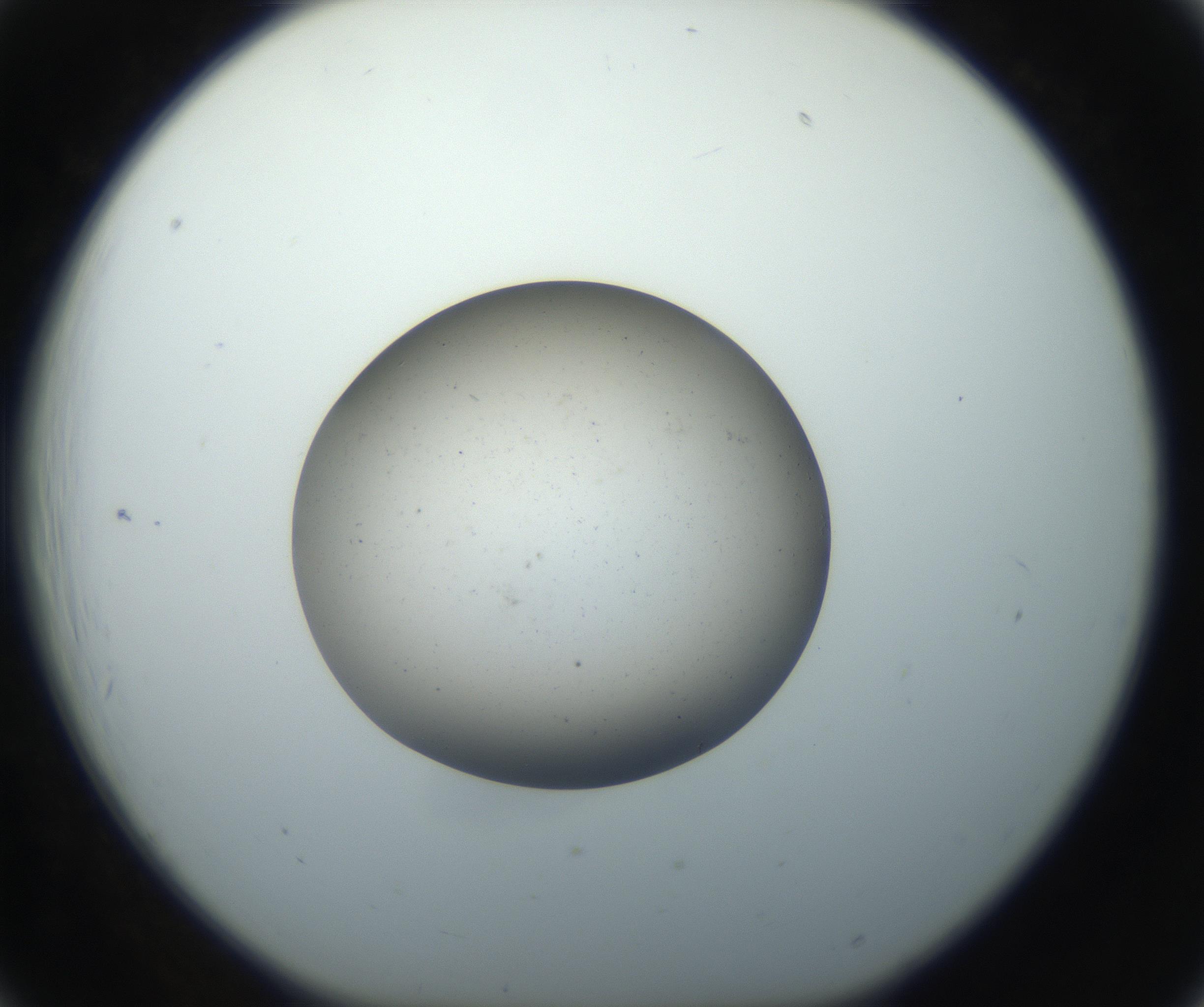 RI01_03_000_0212_Proj1_Clon1_MC_0000MC102733_003_160921_06_02_01_00_99_002_001_RAI.jpg