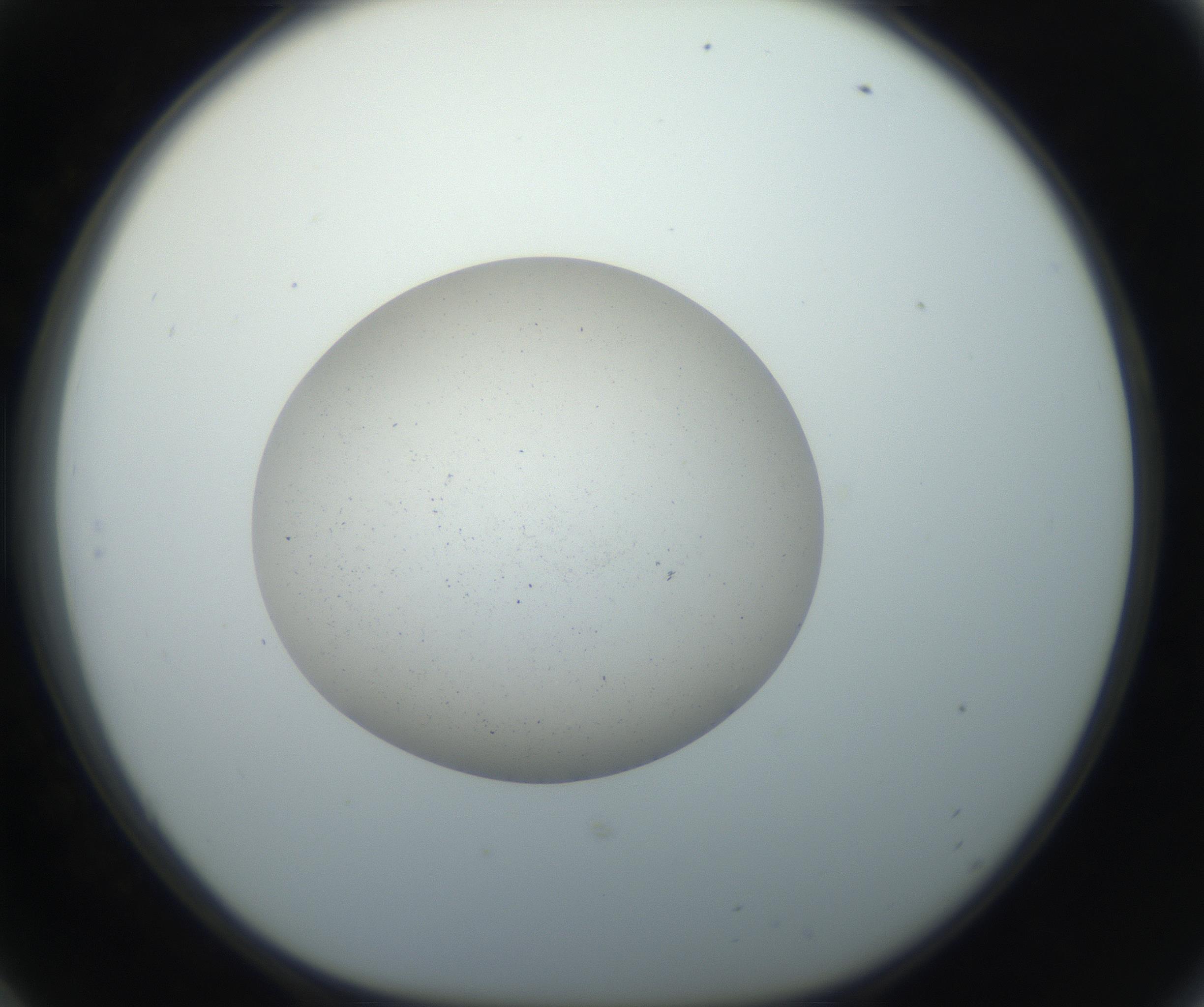 RI01_03_000_0212_Proj1_Clon1_MC_0000MC102733_003_160921_06_05_01_00_99_002_001_RAI.jpg