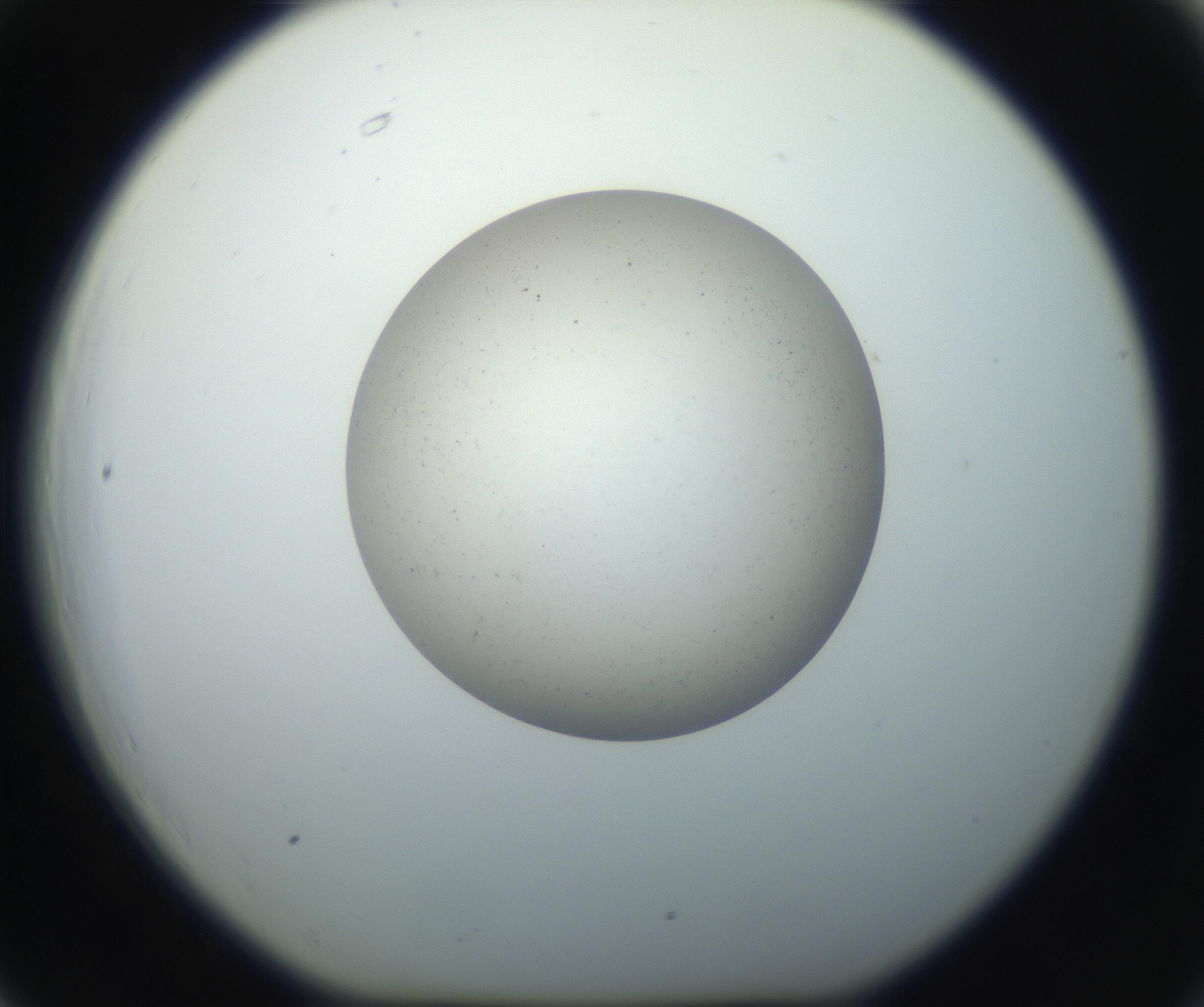 RI01_03_000_0212_Proj1_Clon1_MC_0000MC102733_003_160921_06_06_01_00_99_002_001_RAI.jpg