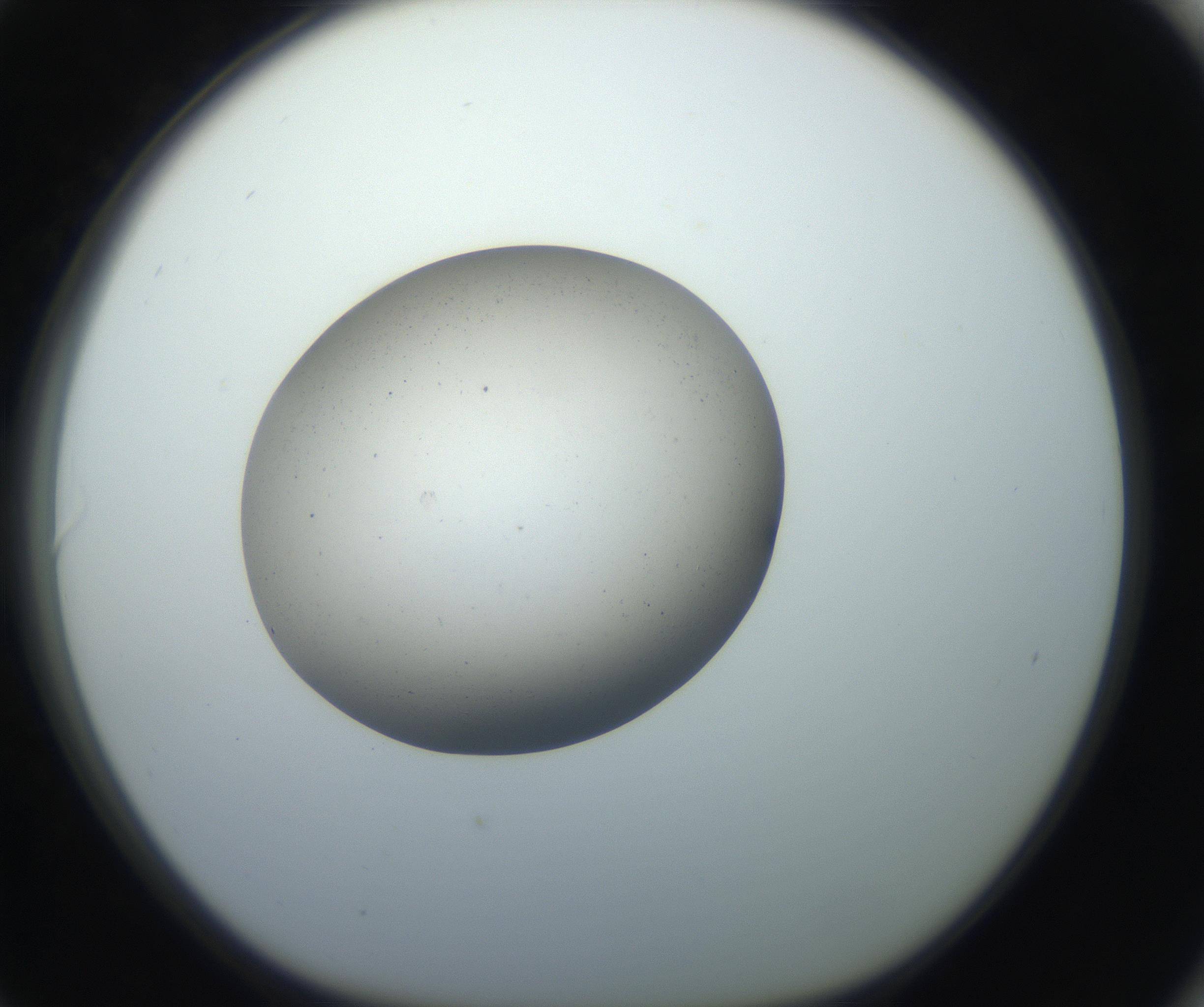 RI01_03_000_0212_Proj1_Clon1_MC_0000MC102733_003_160921_06_08_01_00_99_002_001_RAI.jpg
