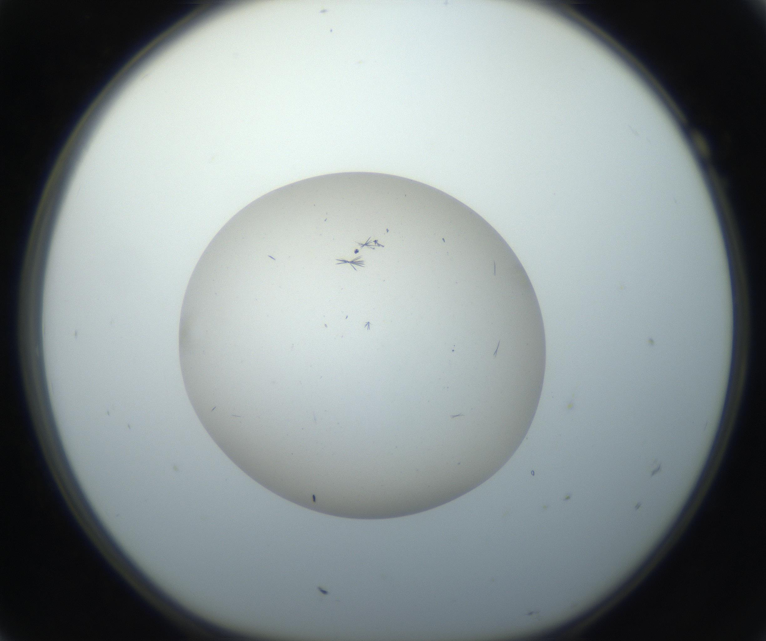 RI01_03_000_0212_Proj1_Clon1_MC_0000MC102733_003_160921_07_01_01_00_99_002_001_RAI.jpg