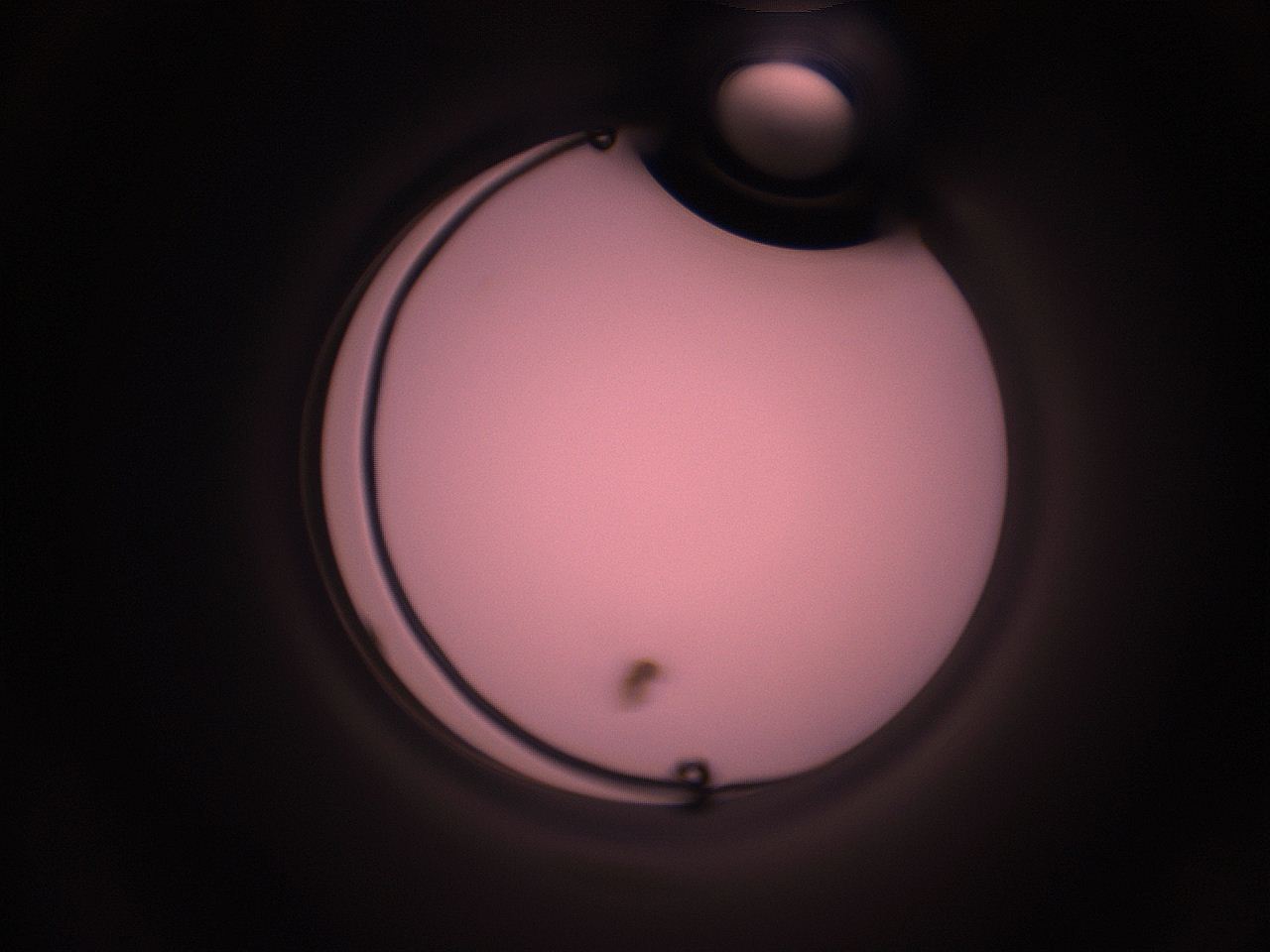 05i3_C4_ImagerDefaults_1.jpg