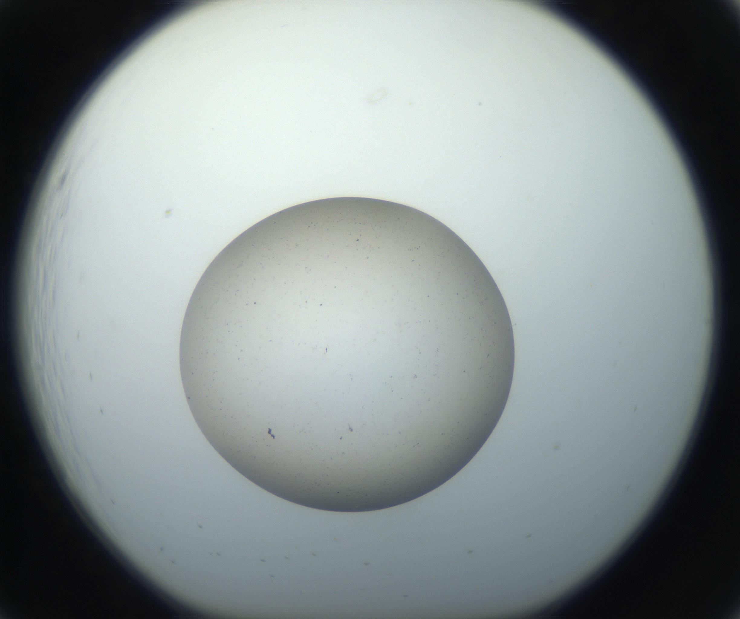 RI01_03_000_0212_Proj1_Clon1_MC_0000MC102733_003_160921_07_02_01_00_99_002_001_RAI.jpg