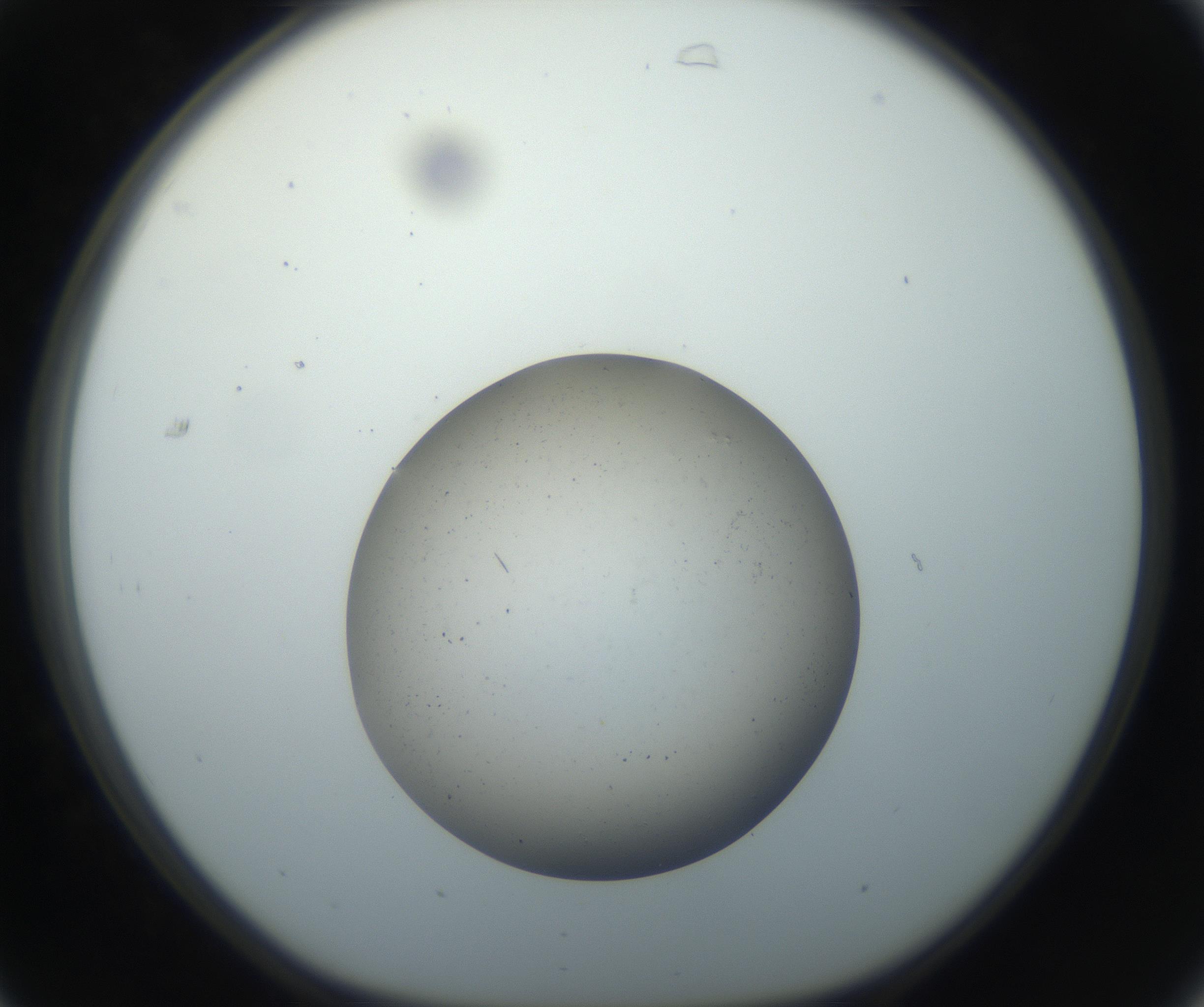 RI01_03_000_0212_Proj1_Clon1_MC_0000MC102733_003_160921_07_03_01_00_99_002_001_RAI.jpg