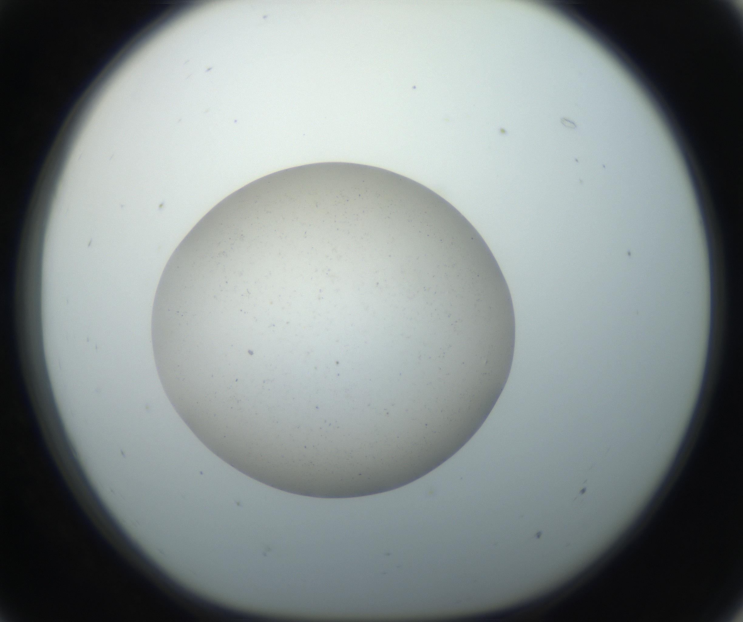 RI01_03_000_0212_Proj1_Clon1_MC_0000MC102733_003_160921_07_05_01_00_99_002_001_RAI.jpg