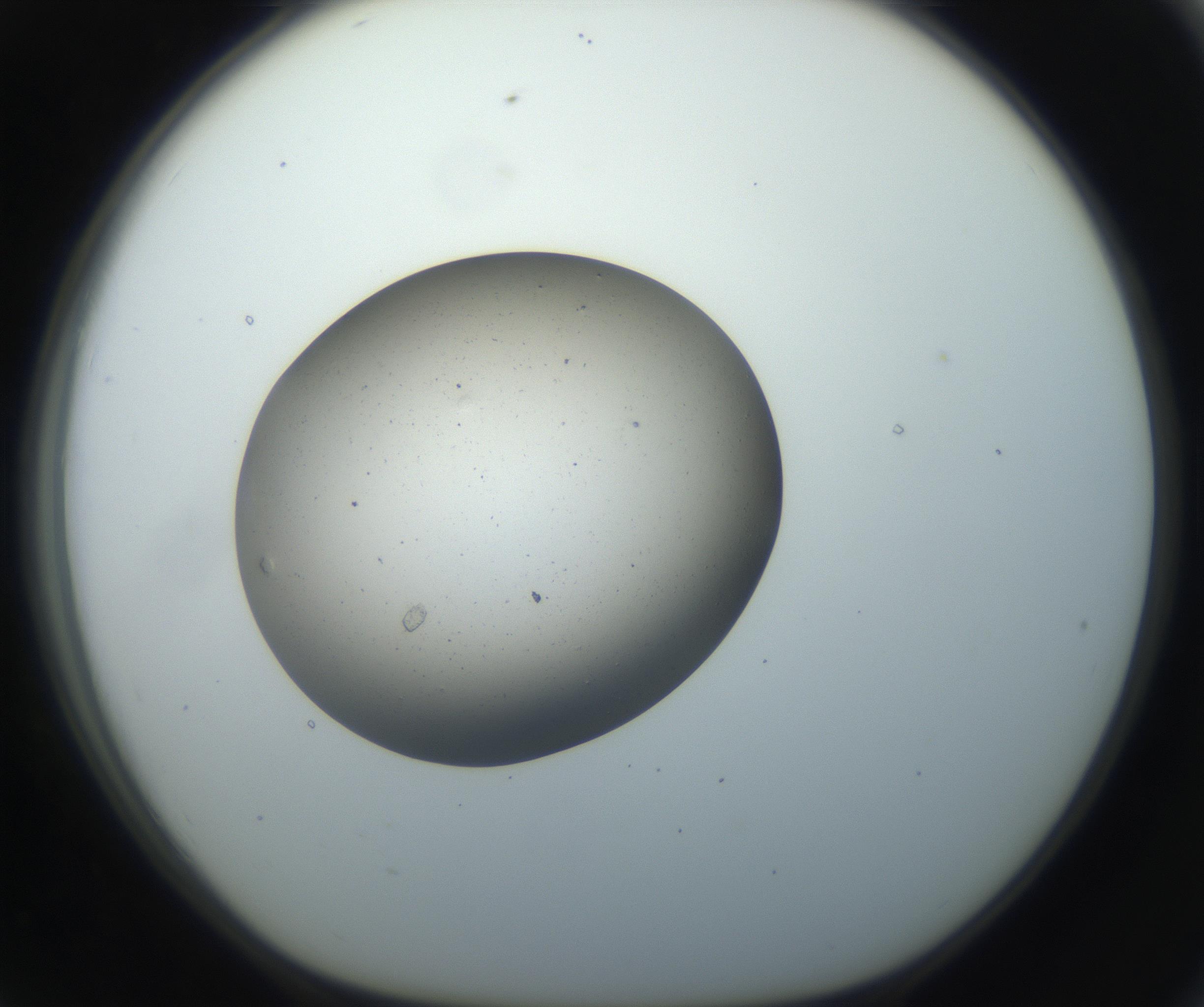 RI01_03_000_0212_Proj1_Clon1_MC_0000MC102733_003_160921_07_07_01_00_99_002_001_RAI.jpg