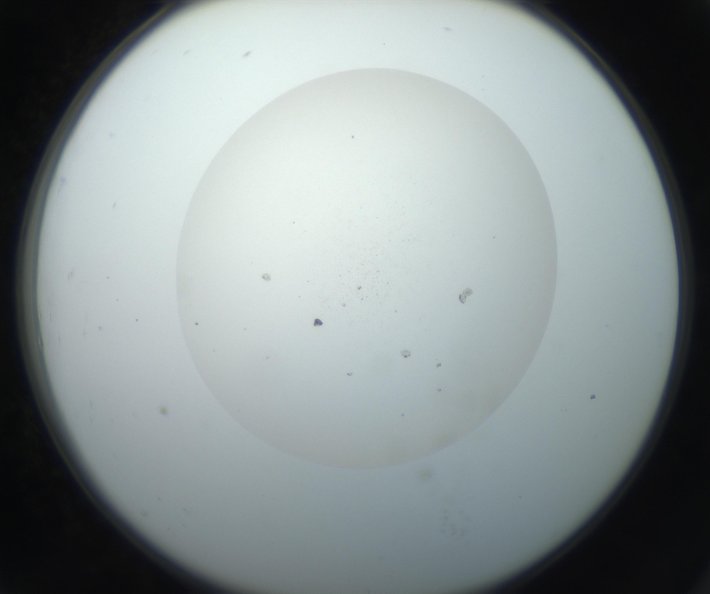 RI01_03_000_0212_Proj1_Clon1_MC_0000MC102733_003_160921_07_07_02_00_99_002_001_RAI.jpg