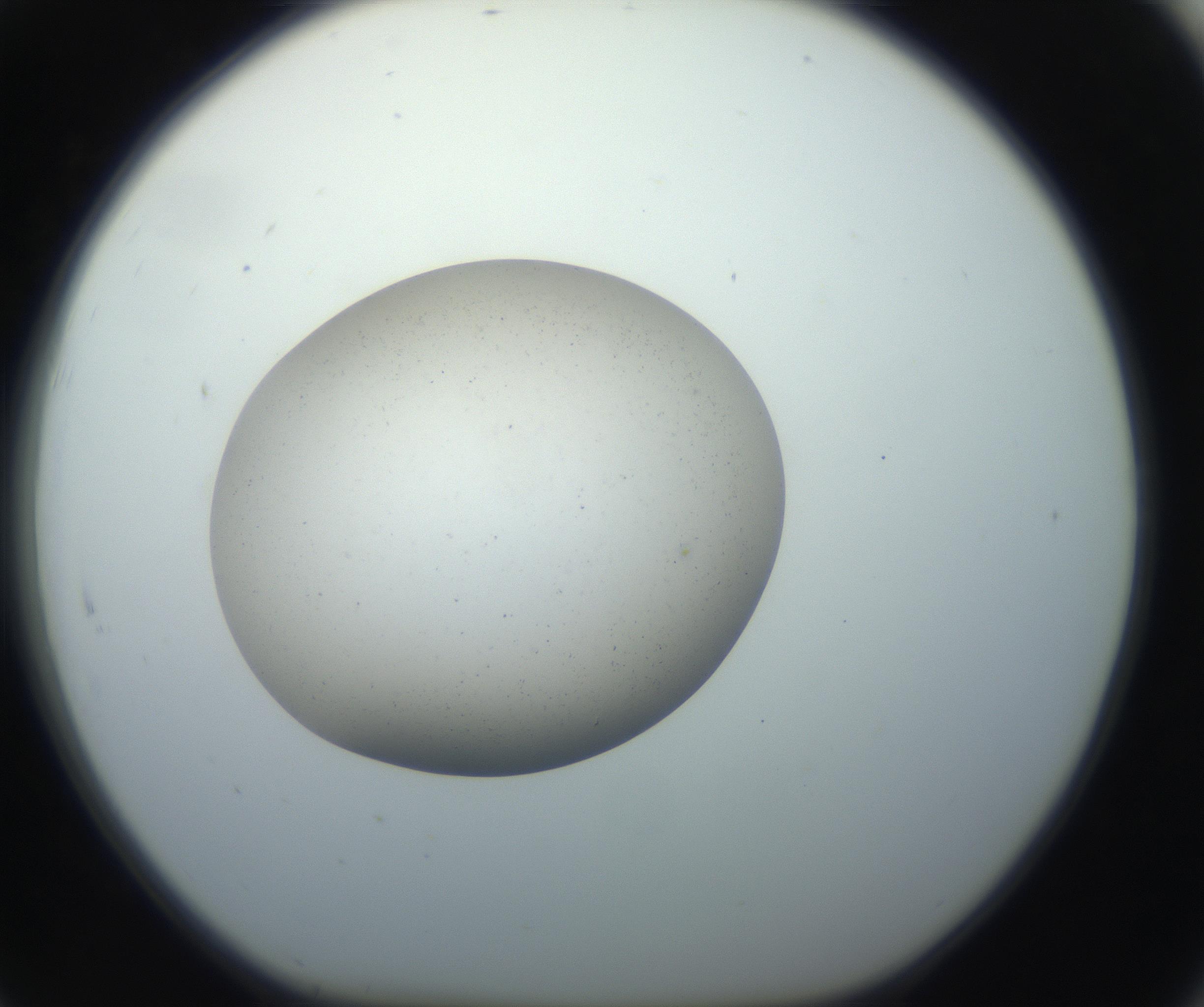 RI01_03_000_0212_Proj1_Clon1_MC_0000MC102733_003_160921_07_08_01_00_99_002_001_RAI.jpg
